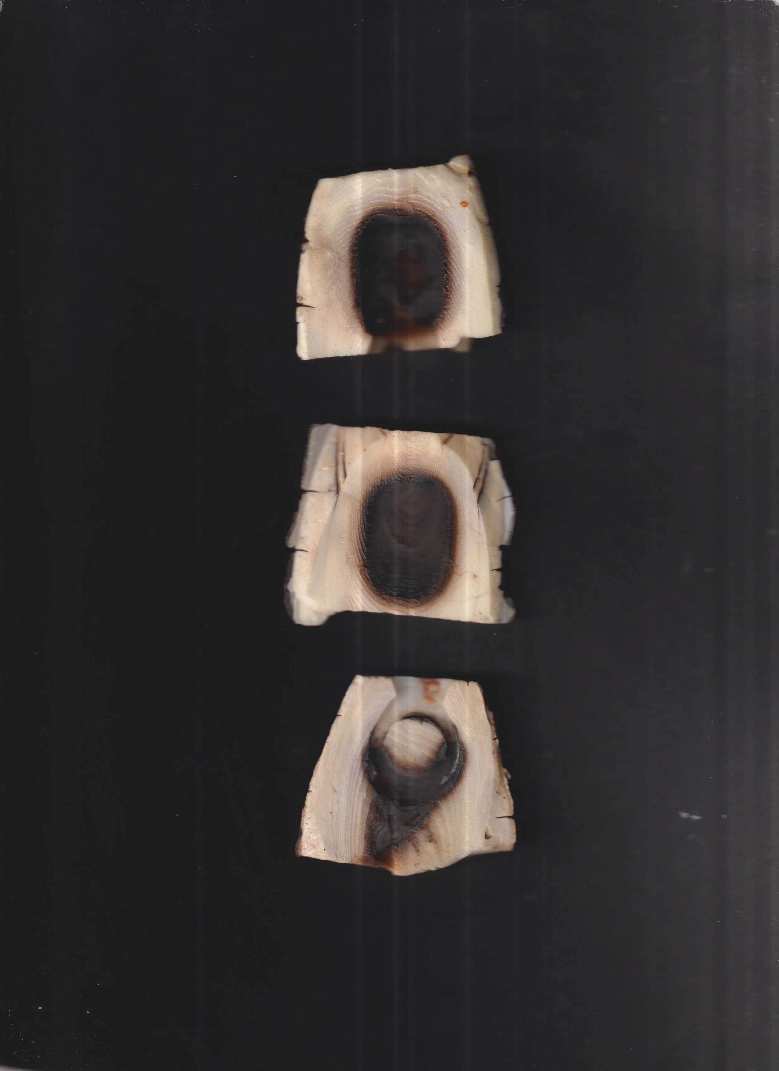 Scan_20231031 (8).jpg