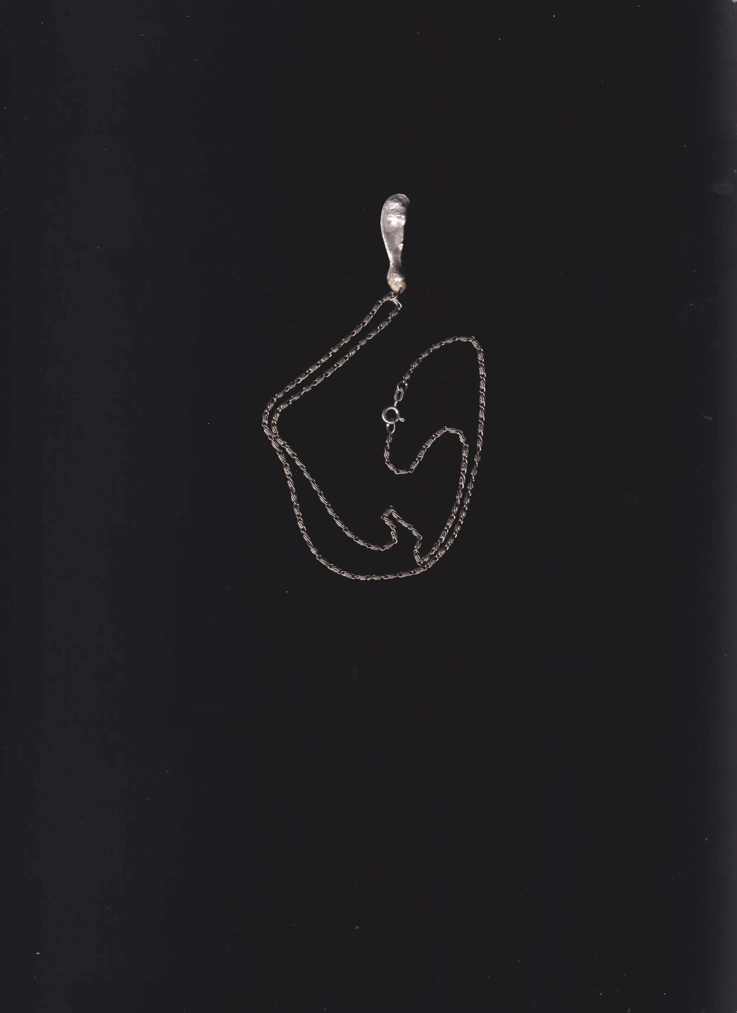 Scan_20260302 (3).jpg