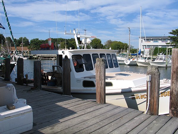 A motorboat docked at a wooden pier on a sunny day, with other boats and marina buildings in the background.