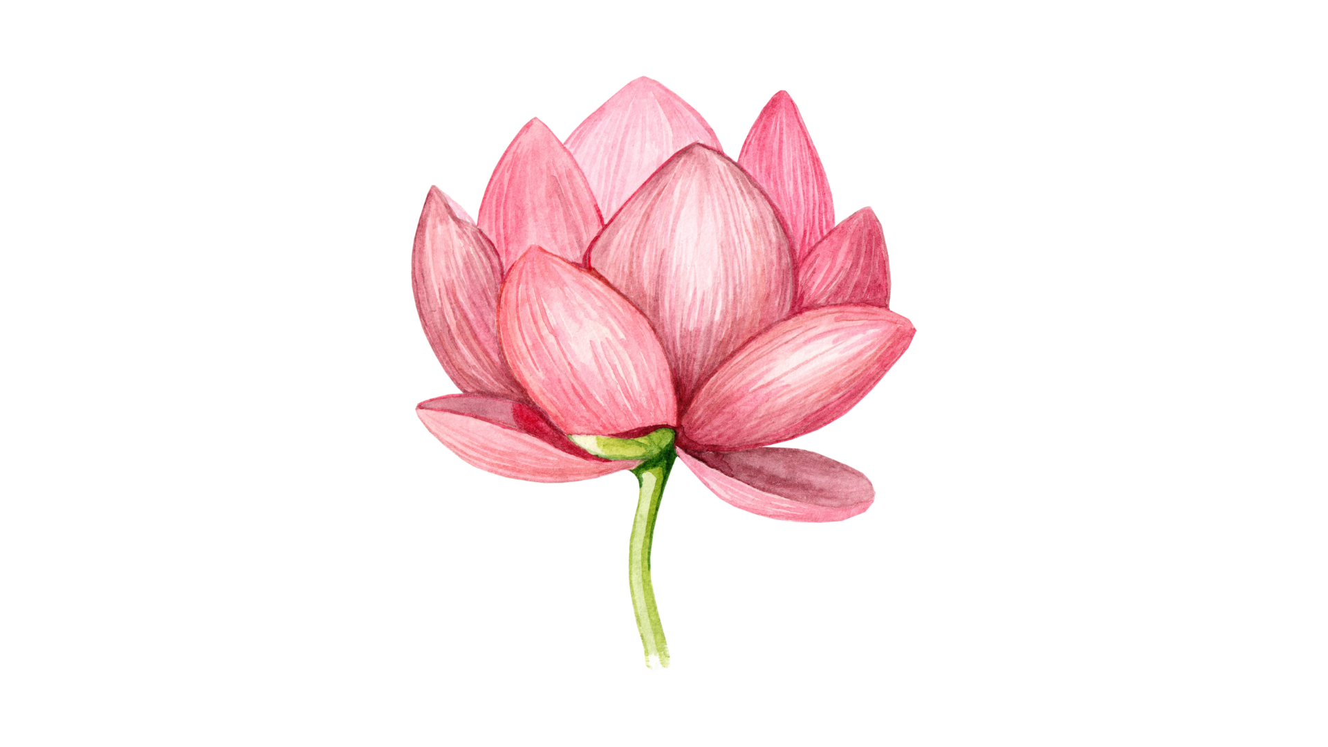 Client Pictures Landscape (2).png