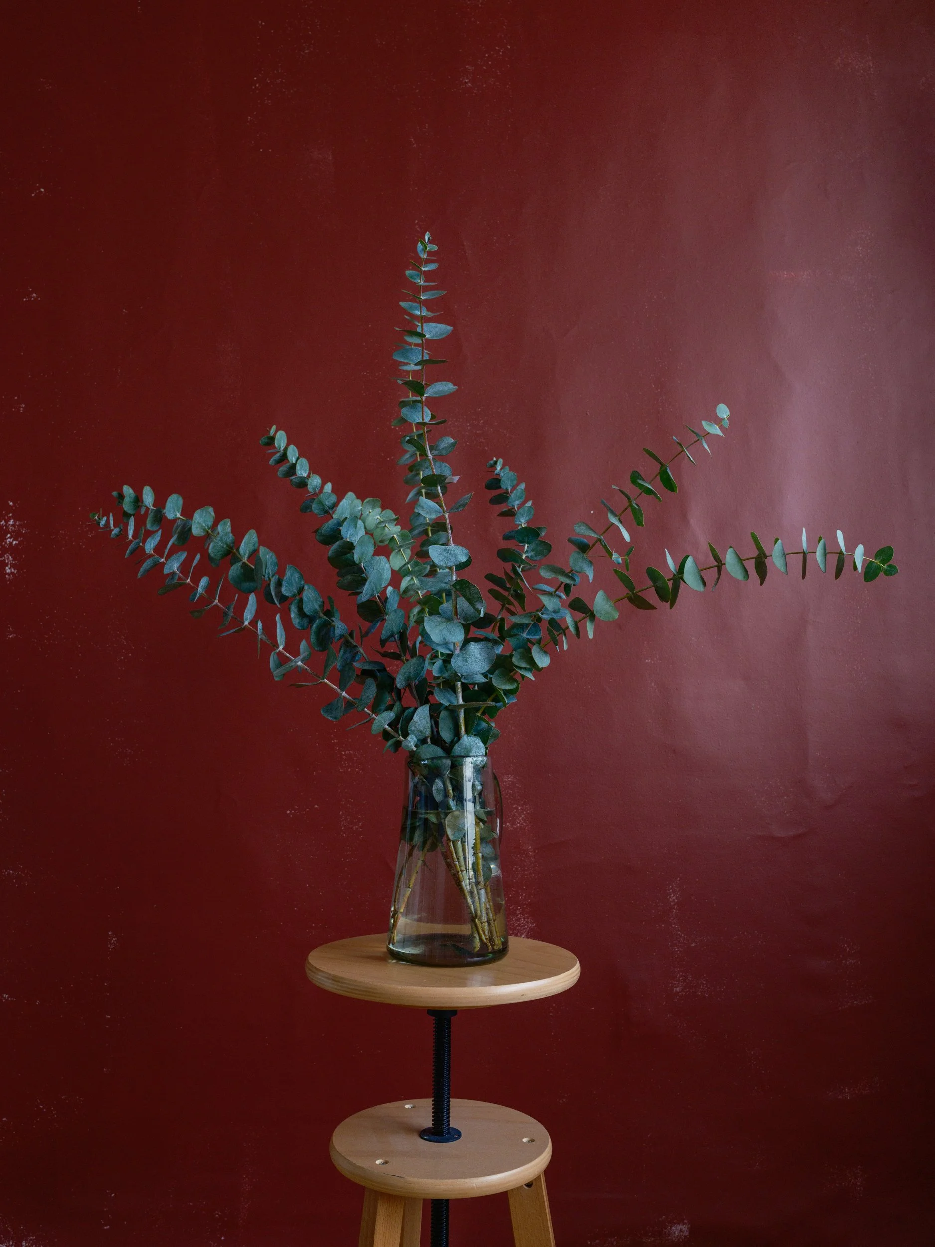 260701-STUDIO-FJI0966.jpg