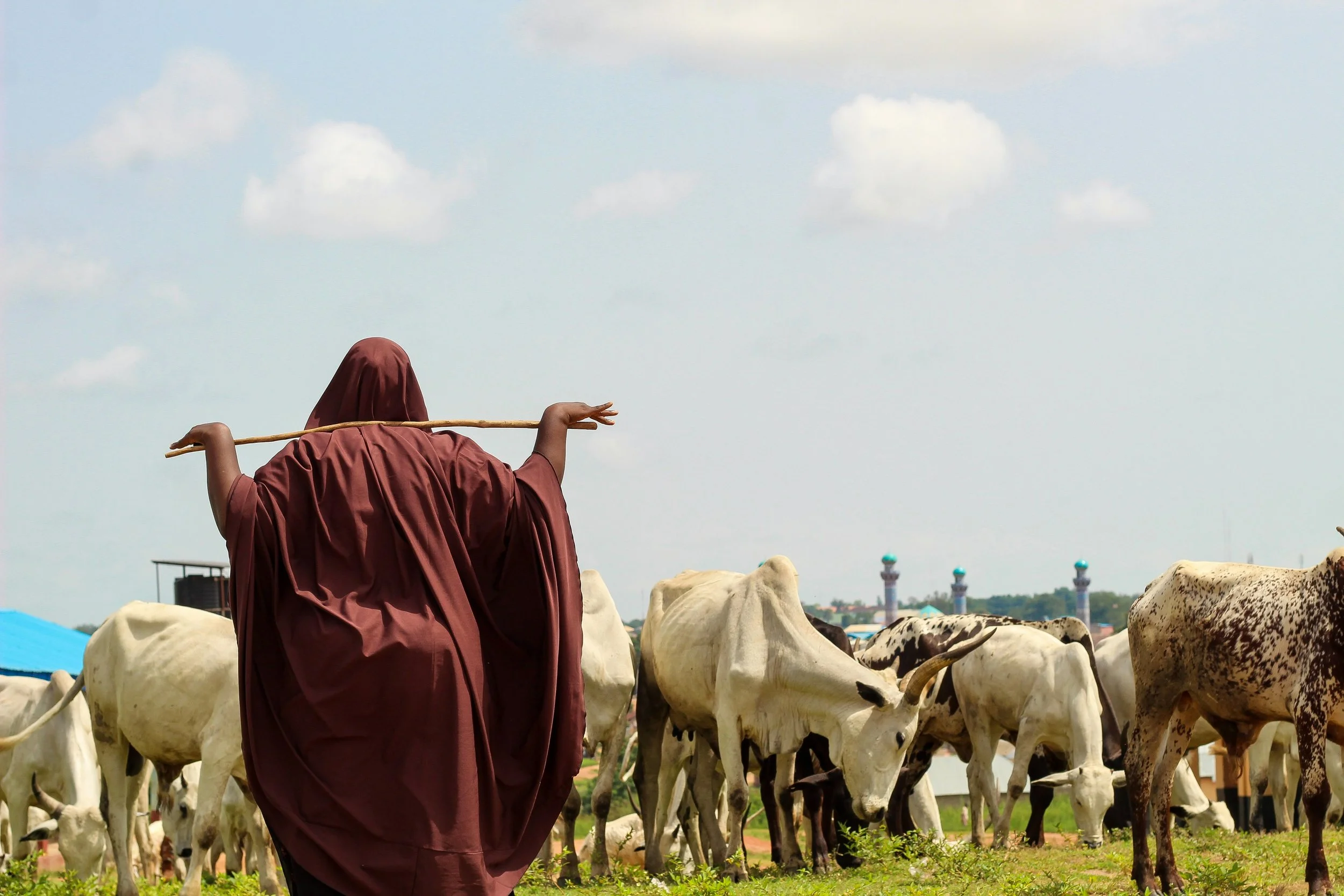 The Farmer-Herder Conflict in Nigeria