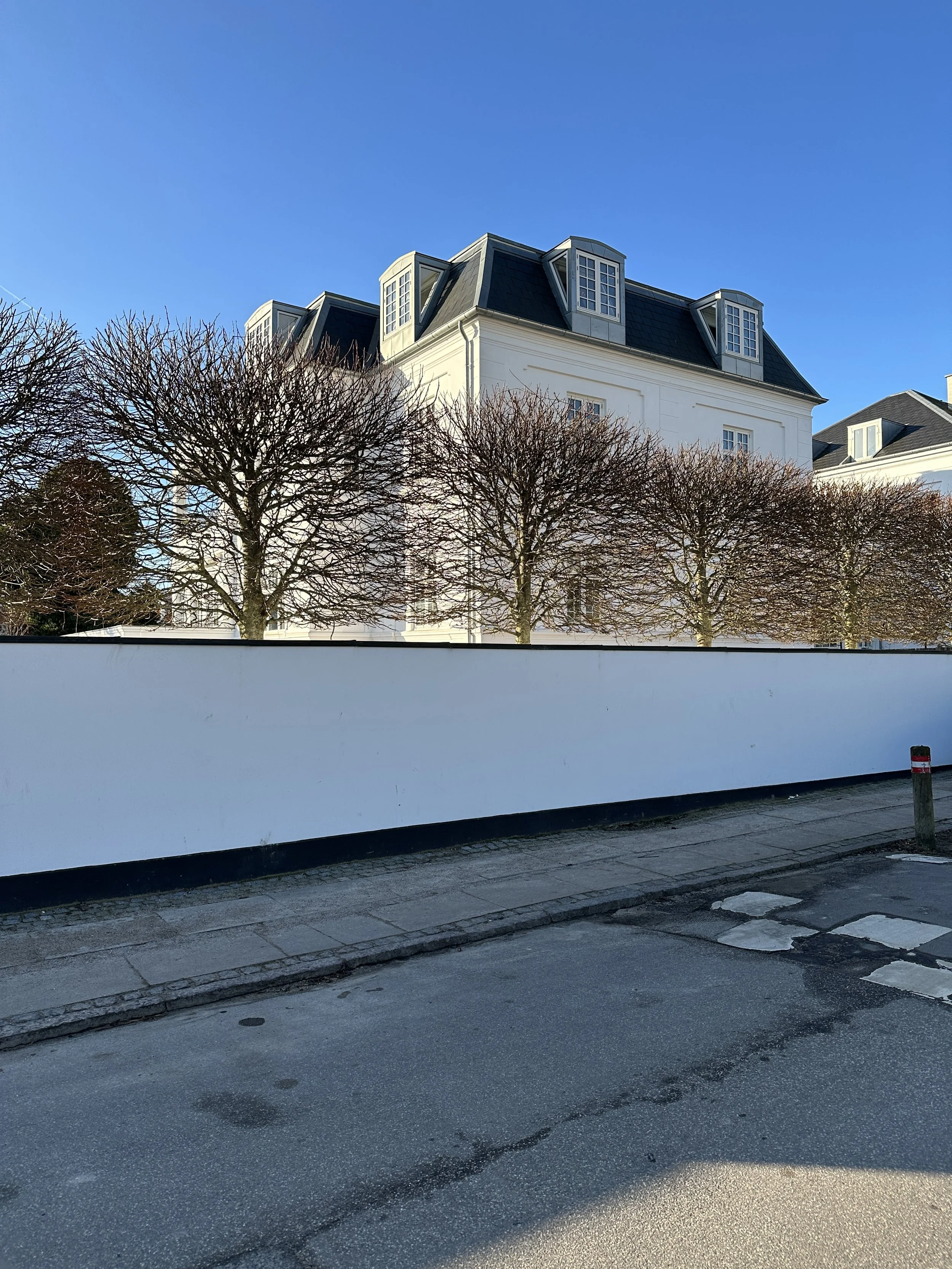 Billede 13.02.2023 09.42.04.jpg