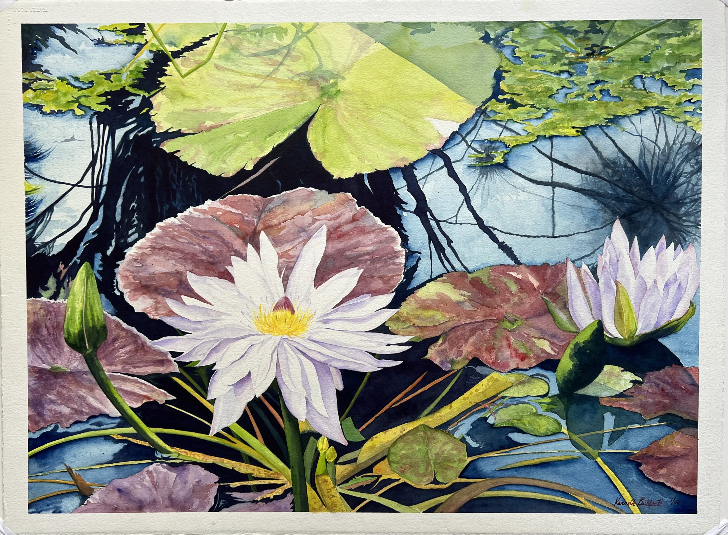 Lily Pond