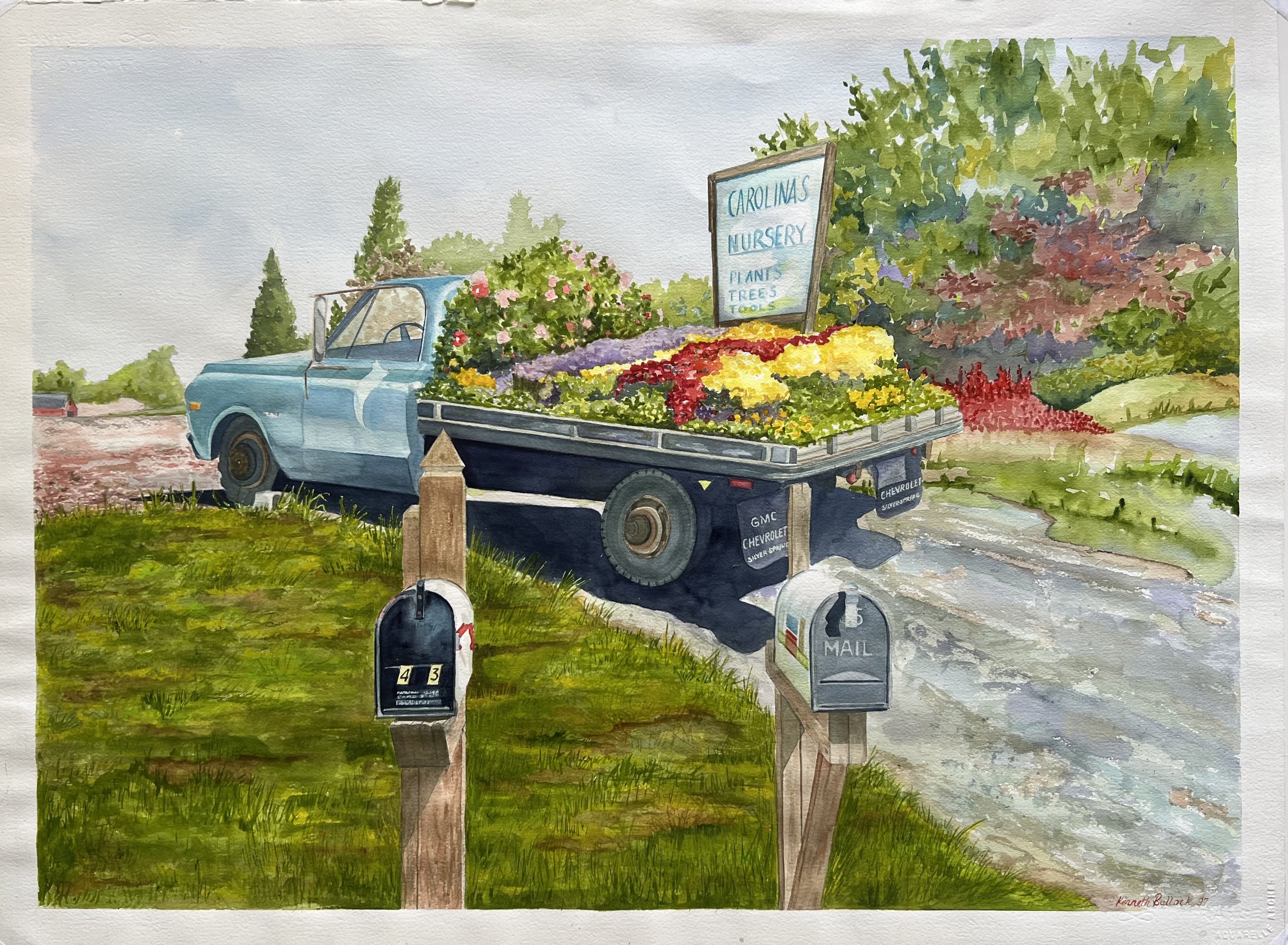 Roadside Flowers