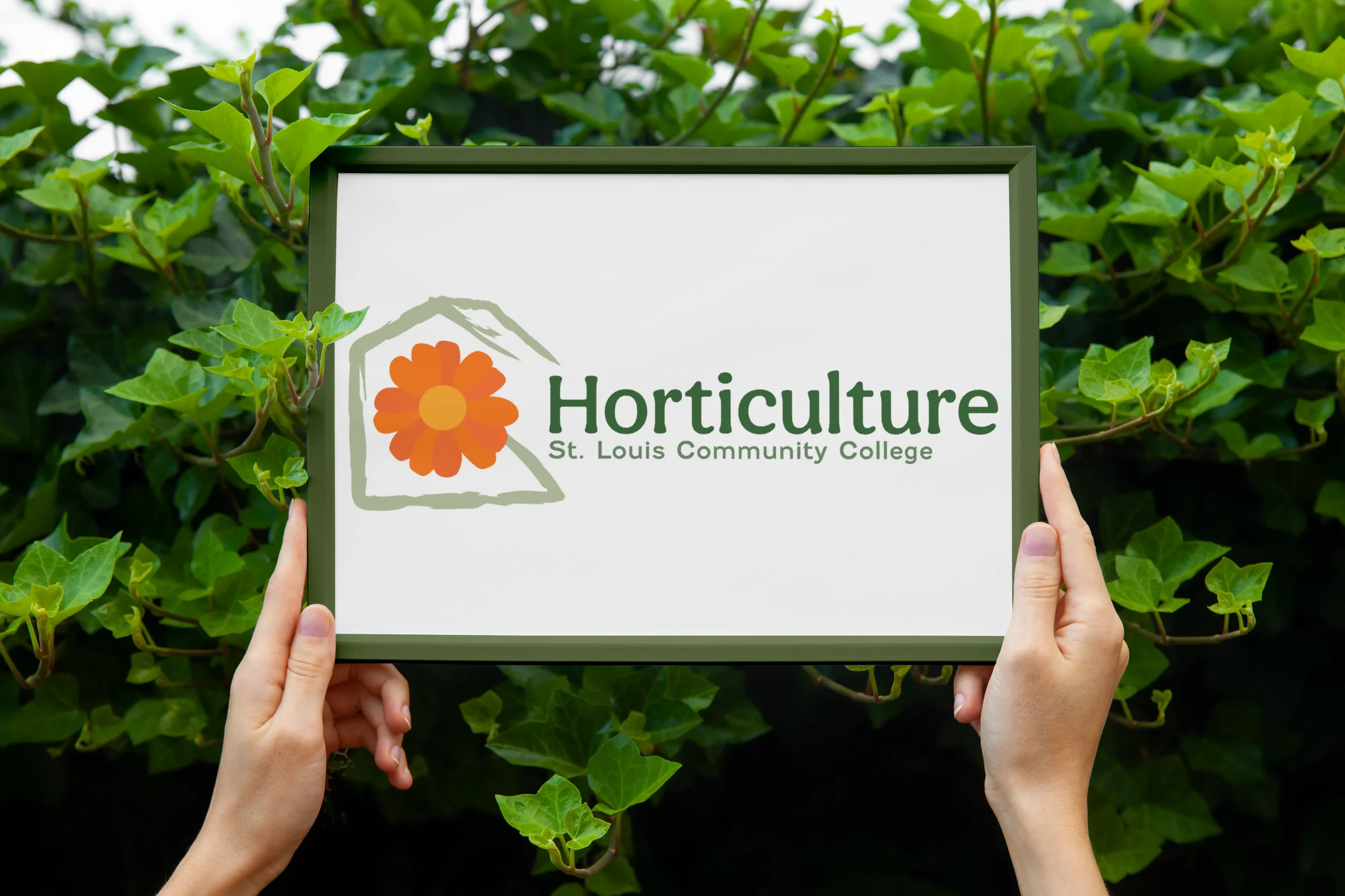 Holding Sign Orange Flower.webp