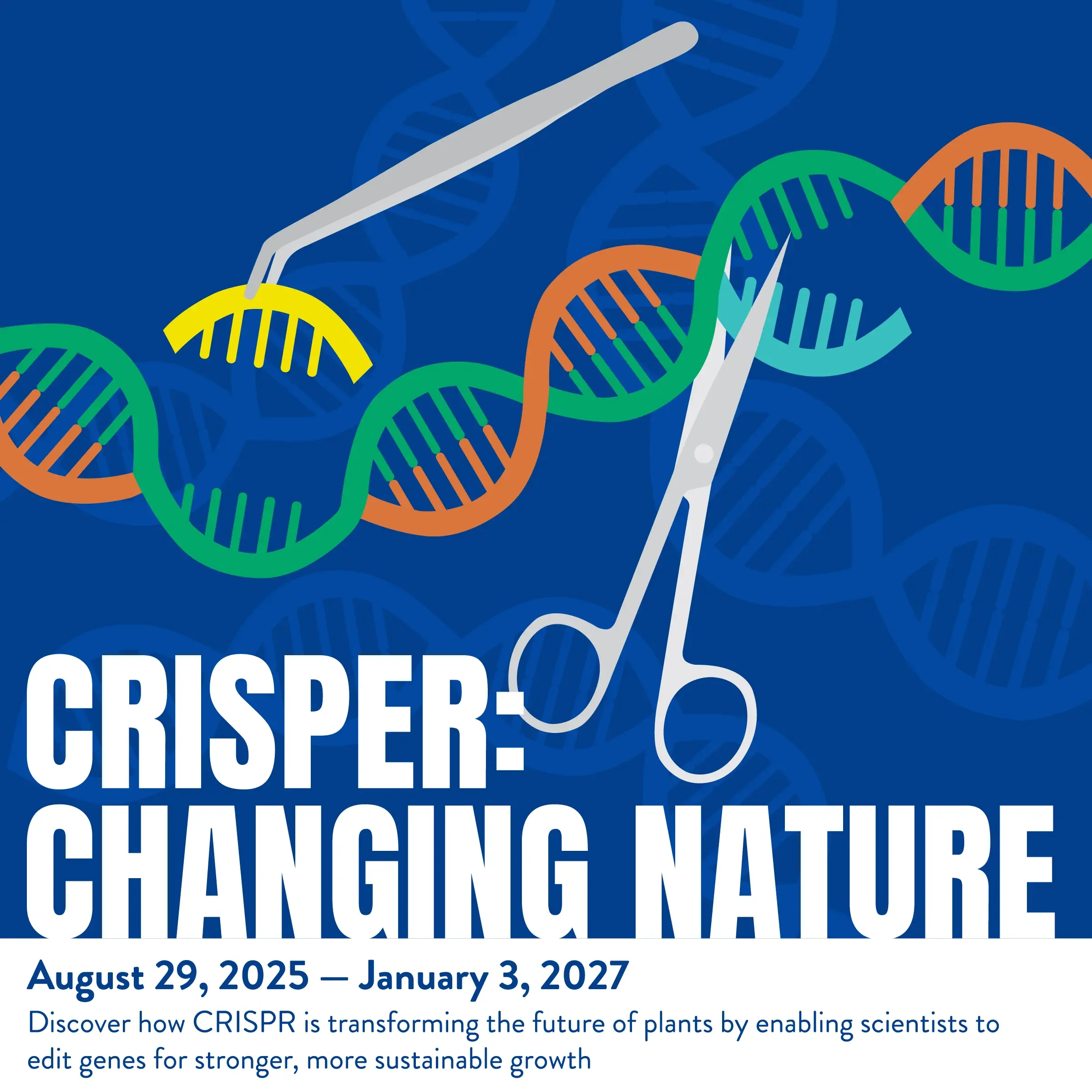 Museum Sub-Brand Project