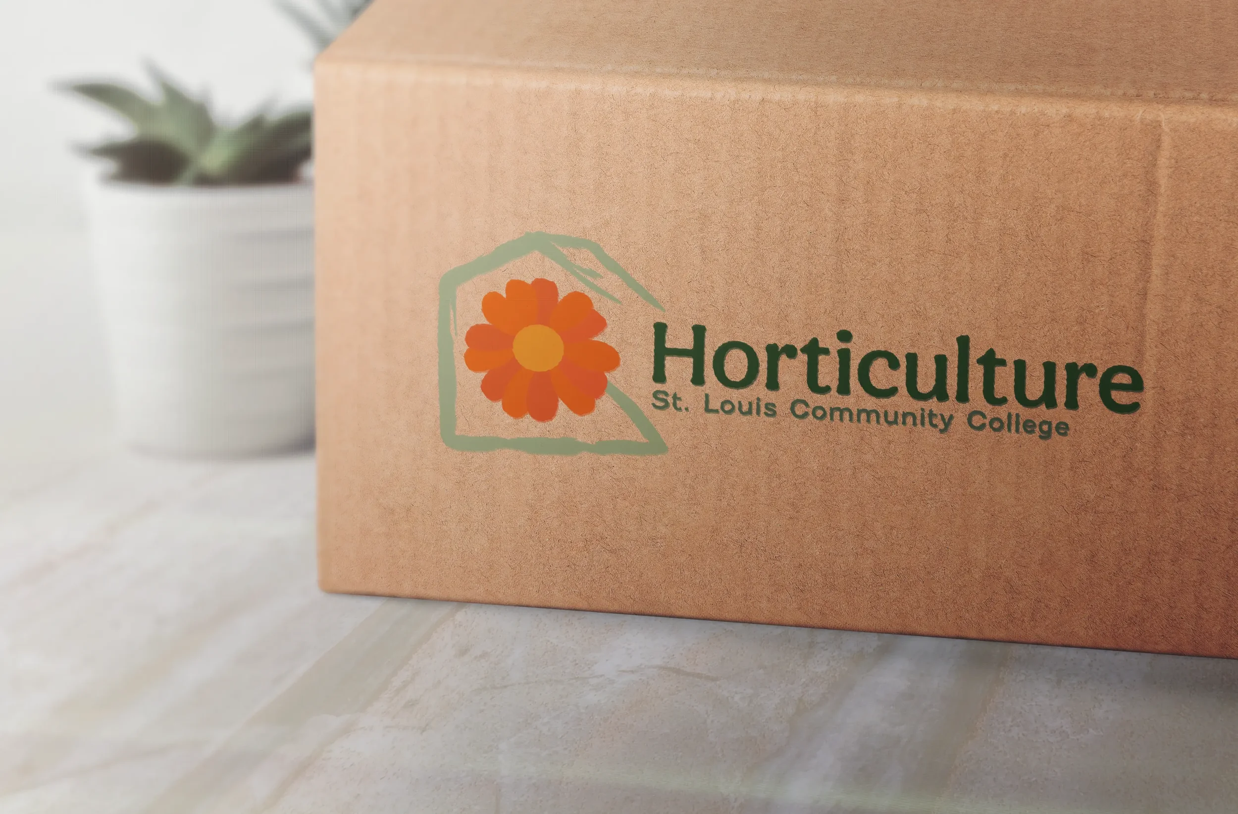 Cardboard Box Mockup.webp