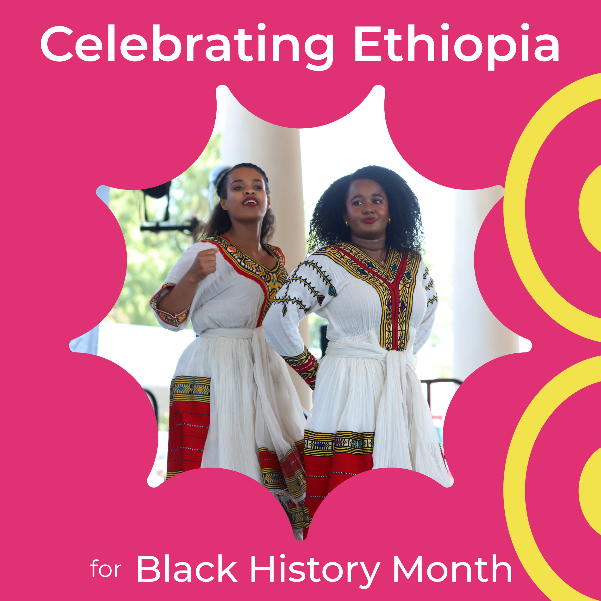 Ethnic Enrichment Commission: Social Media Posts