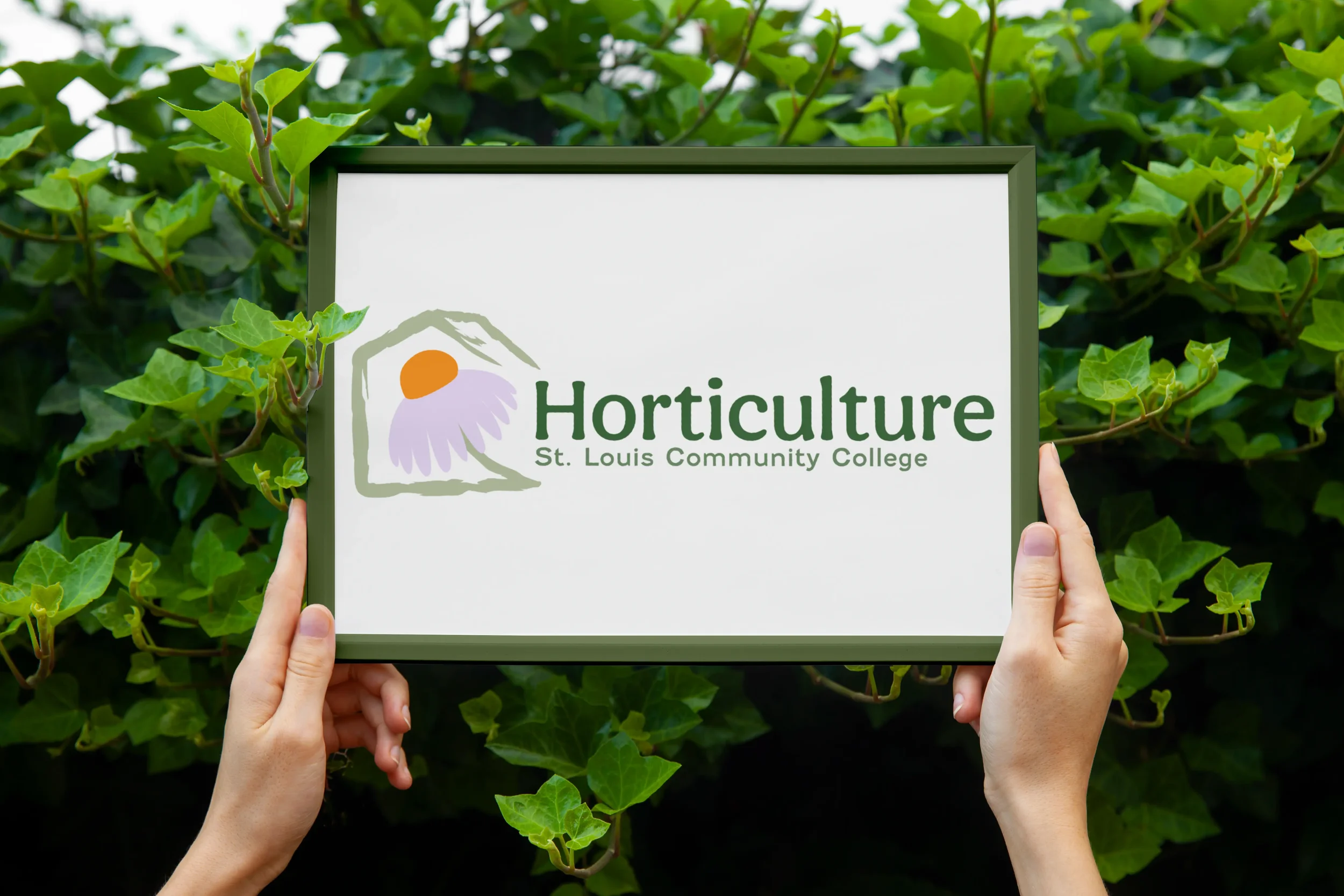 Holding Sign Purple Flower.webp