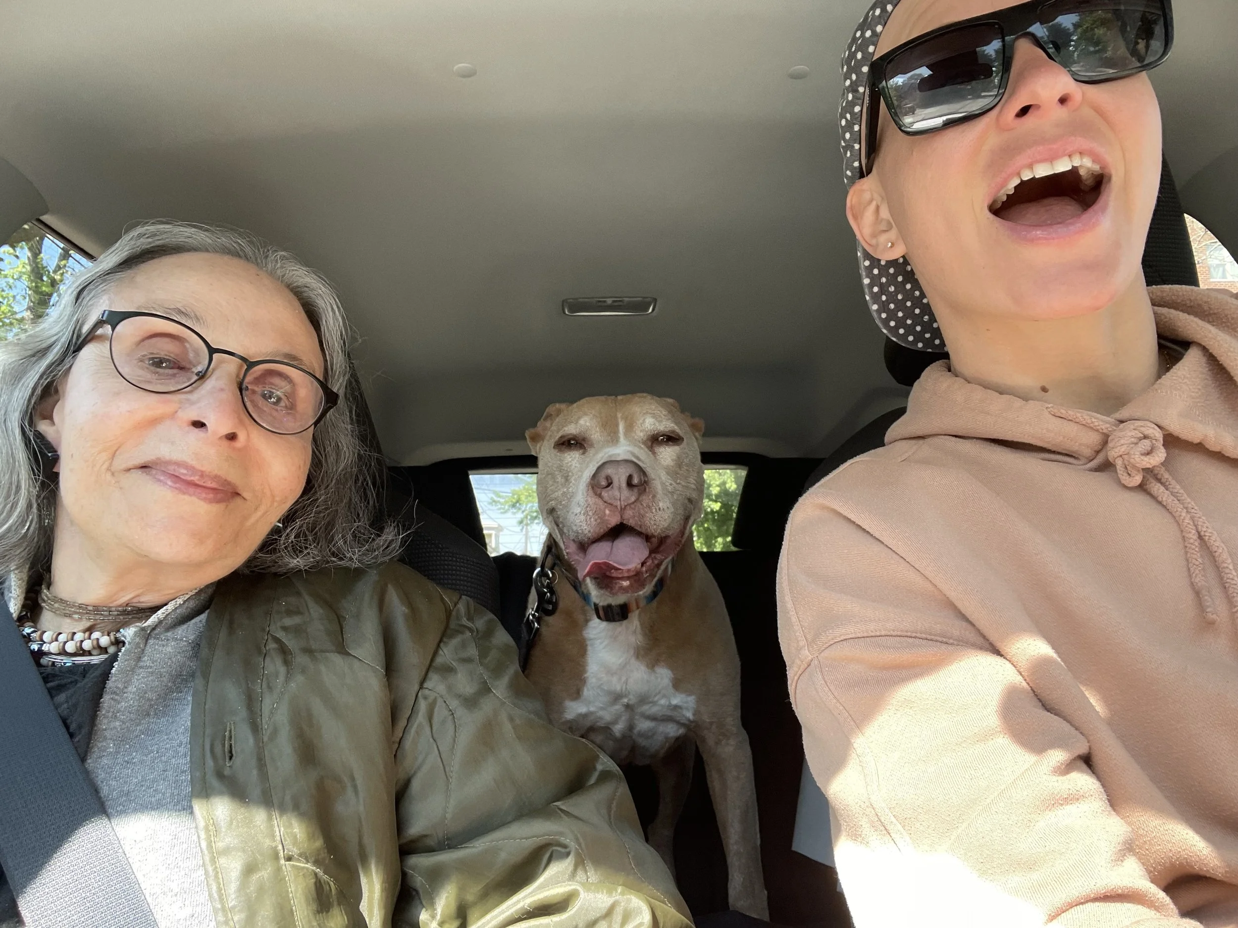 Two women and a dog in a car looking happy
