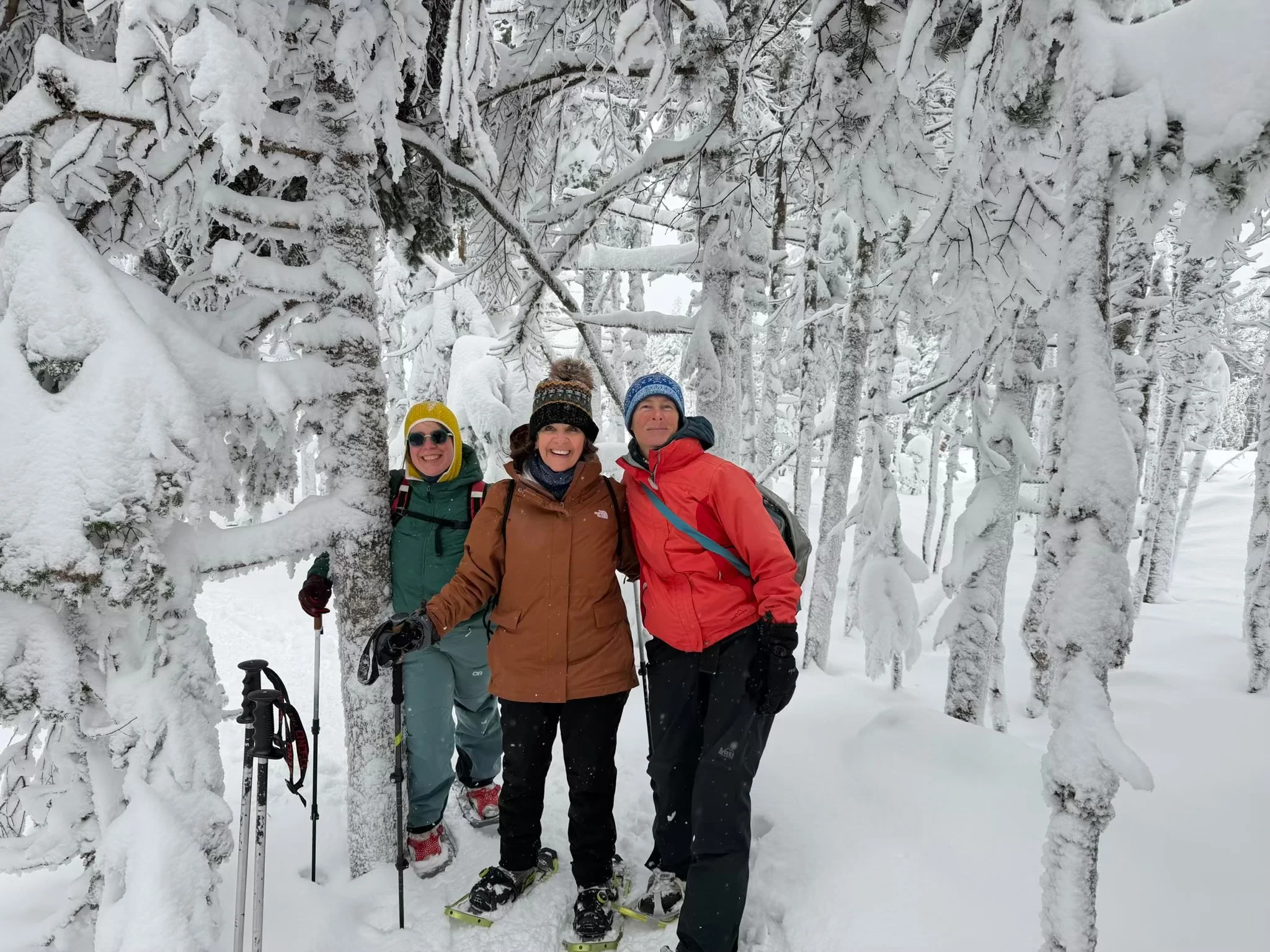 Women's Snowshoe Series Hike 2: 1/17/26