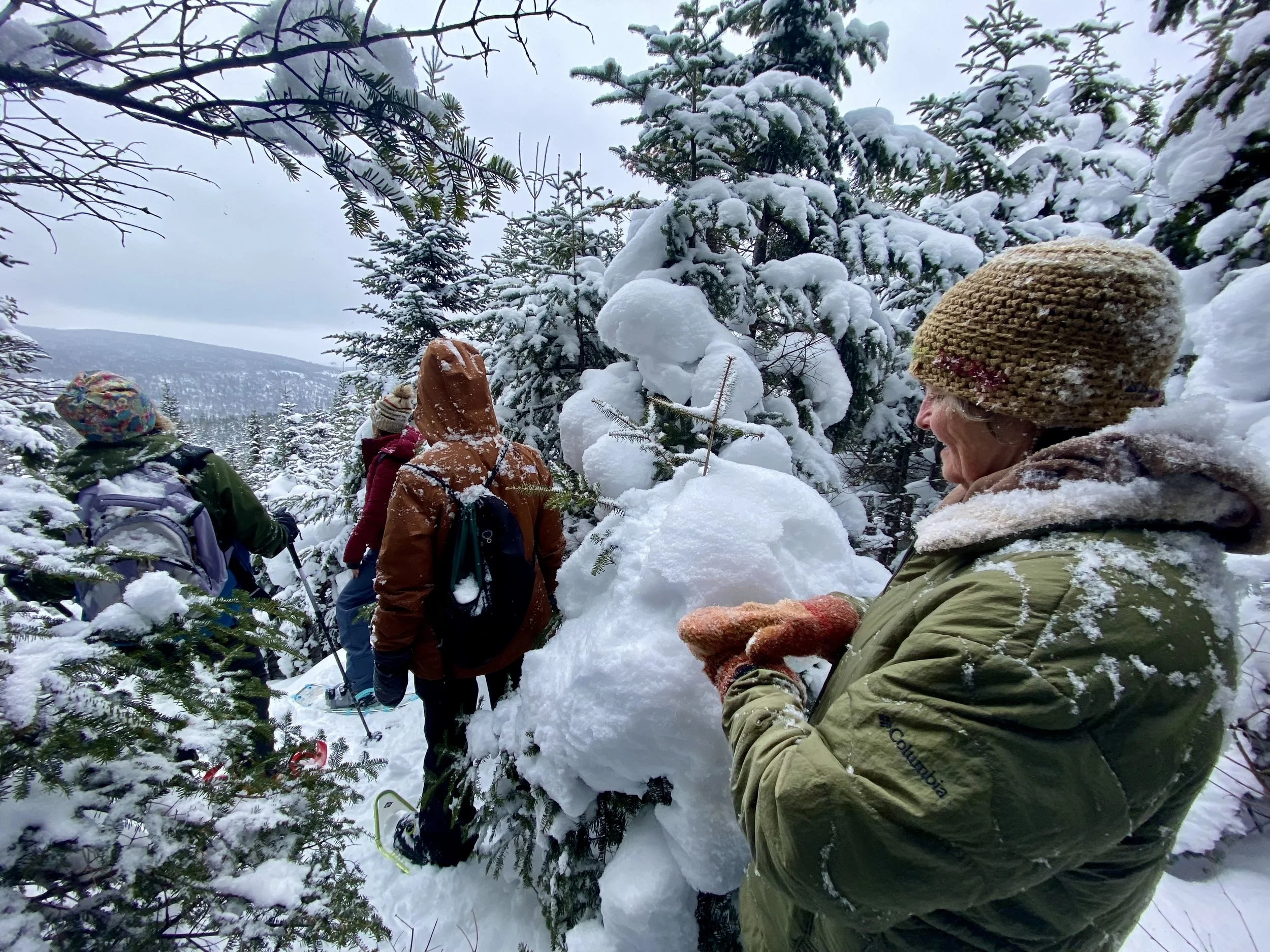 Women's Snowshoe Series Hike 3: 2/14/26