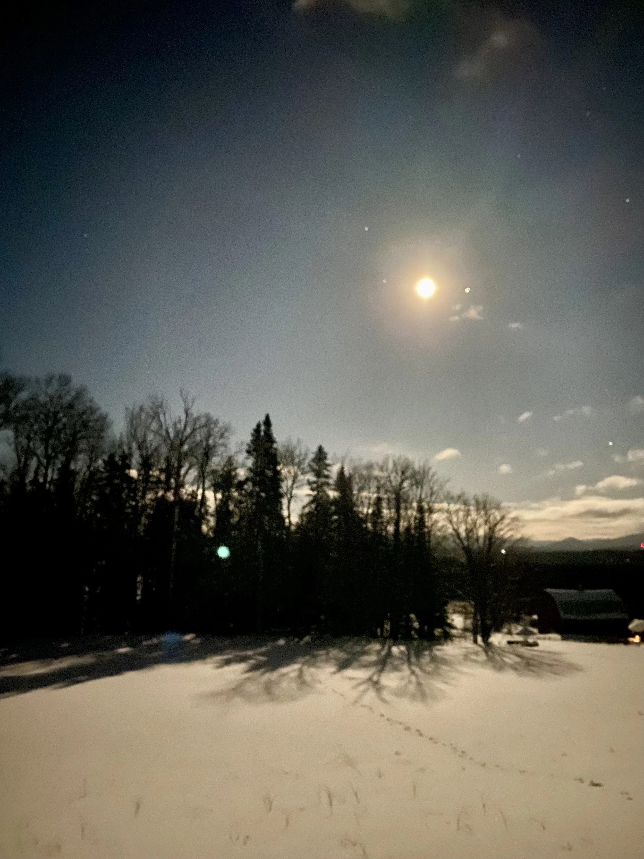 Women's Full Moon Snowshoe: 1/3/26