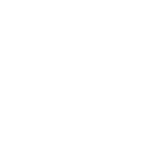 puzzle lights.png
