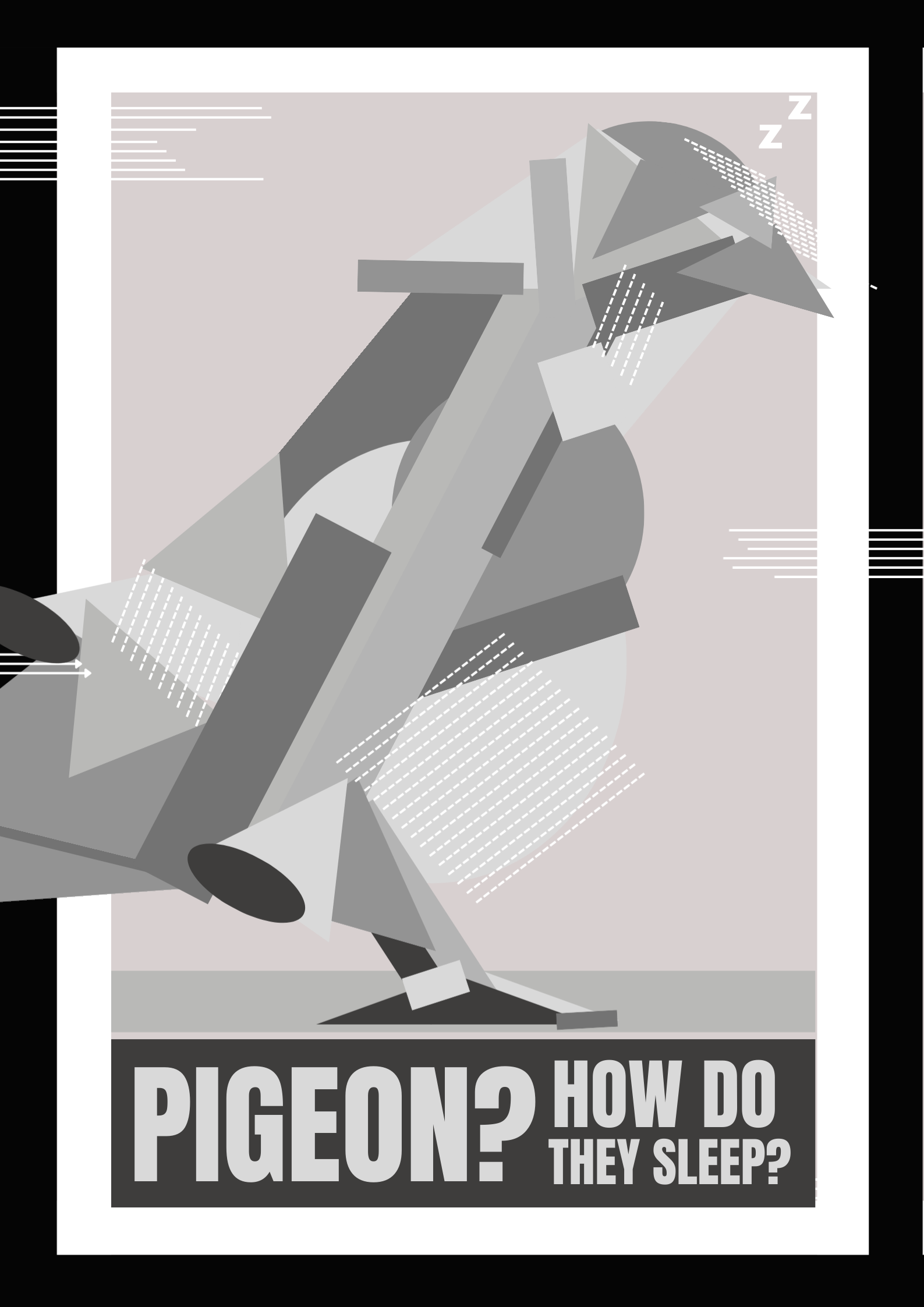 How the f**K does a bird sleep?