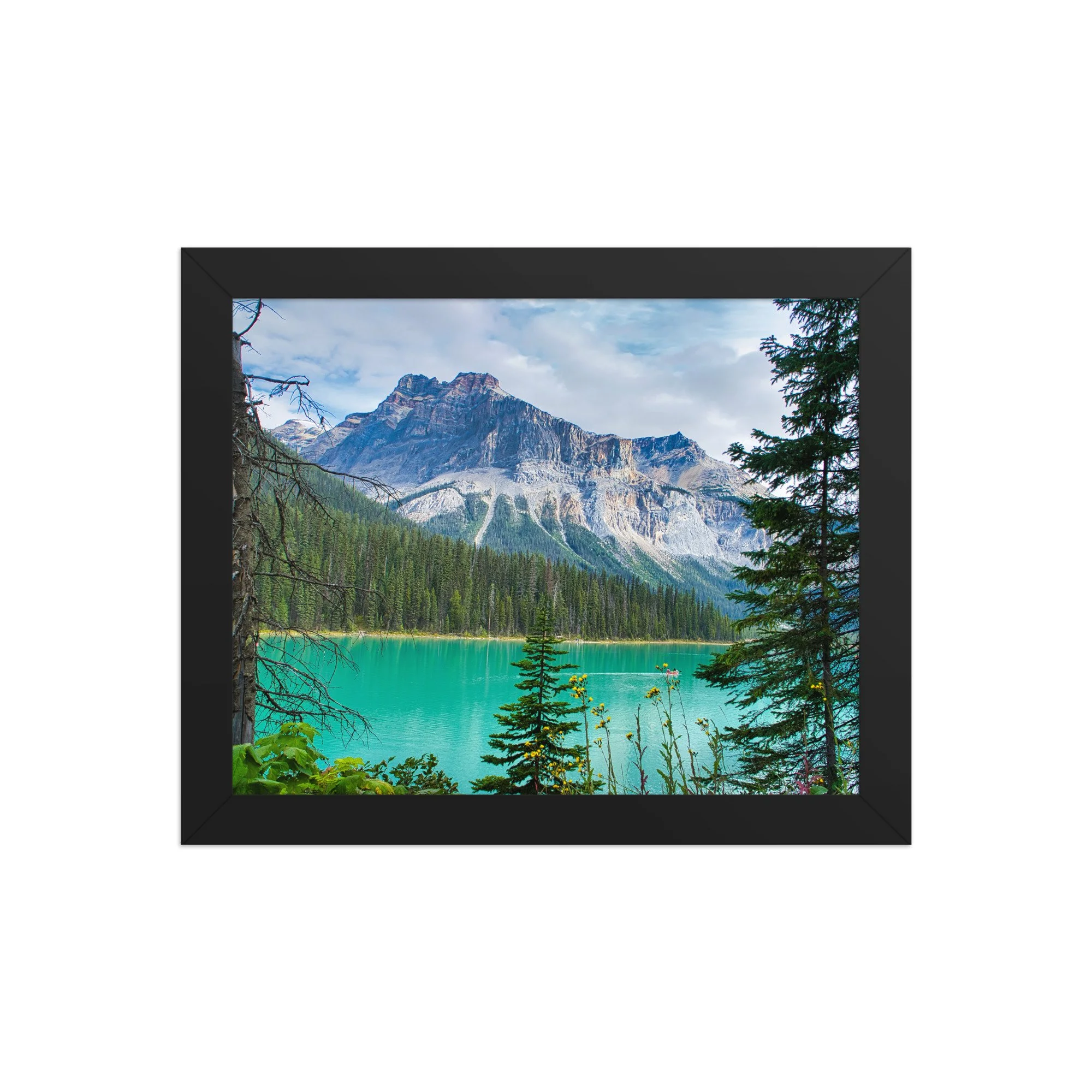 premium-luster-photo-paper-framed-poster-(in)-black-8x10-front-681be475c338f.jpg