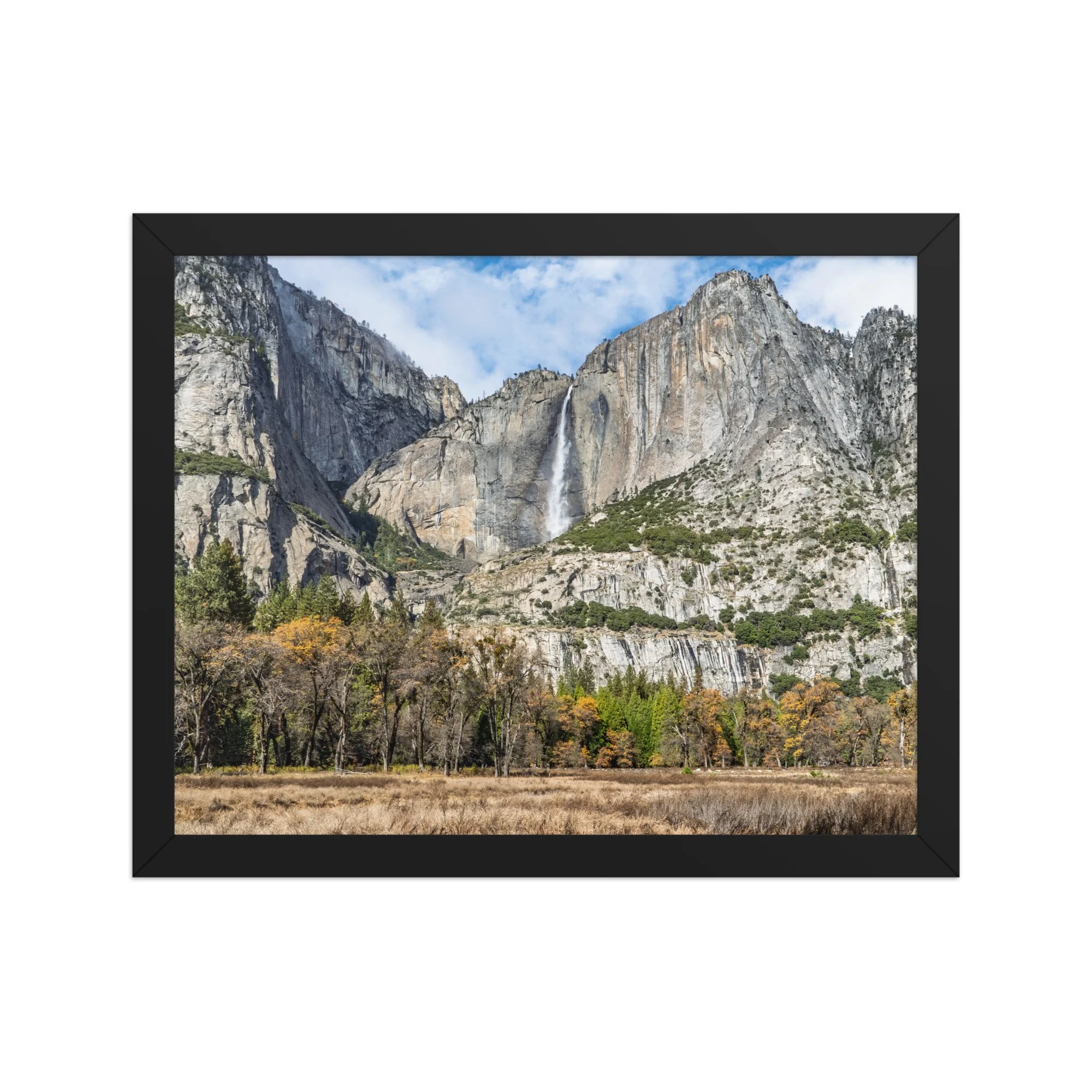 premium-luster-photo-paper-framed-poster-(in)-black-11x14-front-6922653417c7e.jpg