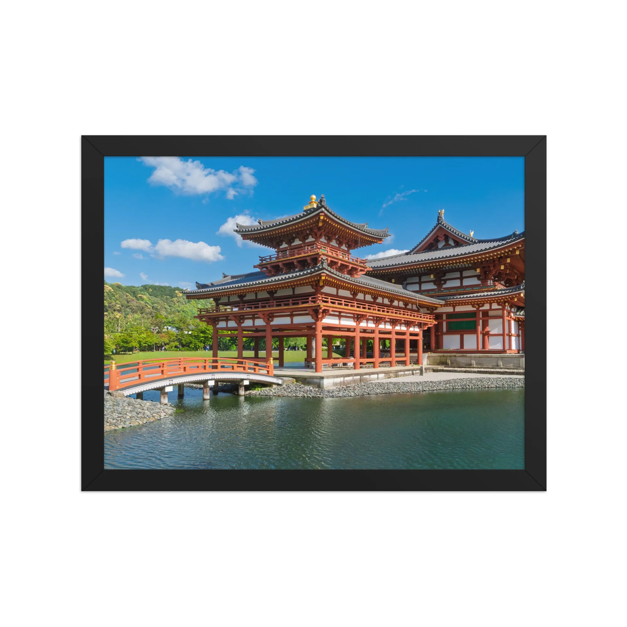 premium-luster-photo-paper-framed-poster-(in)-black-12x16-front-6a15ee49a5510.jpg