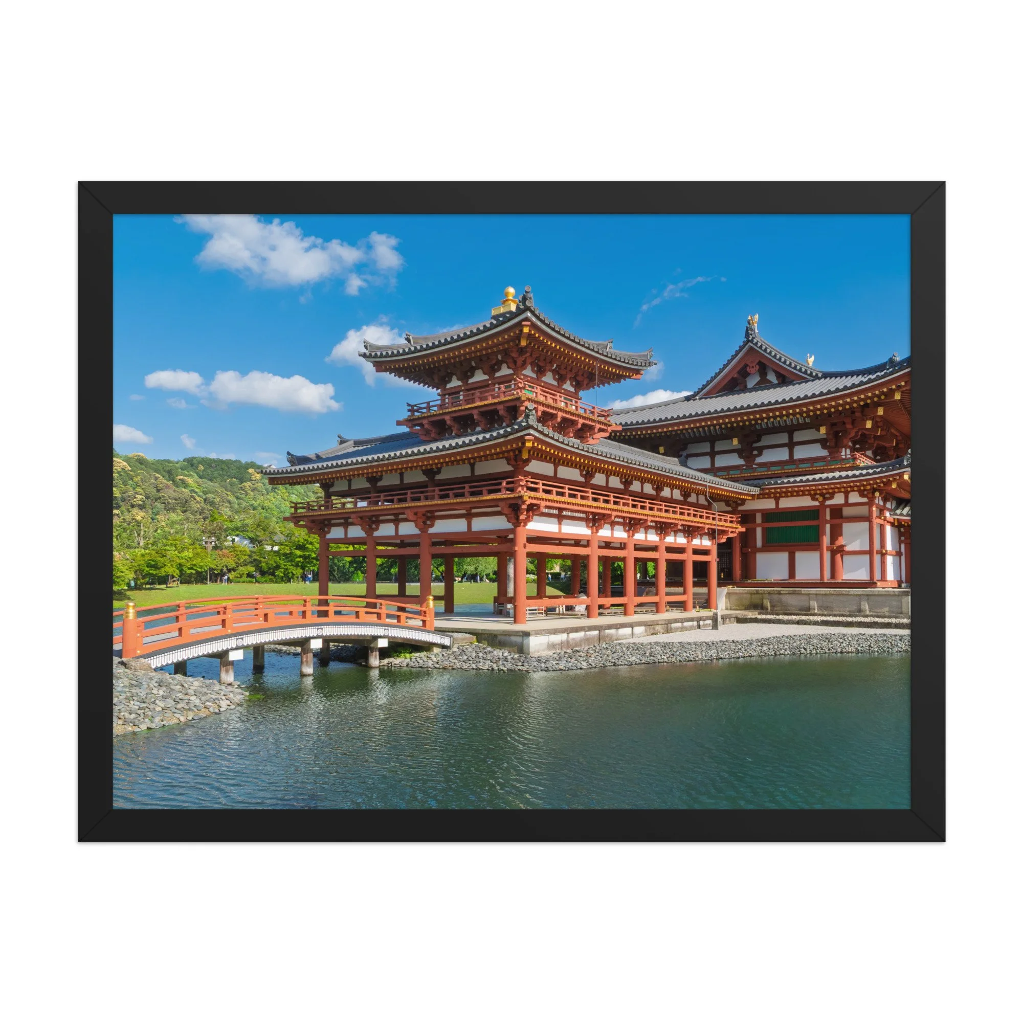 premium-luster-photo-paper-framed-poster-(in)-black-18x24-front-6a15ee49a941a.jpg