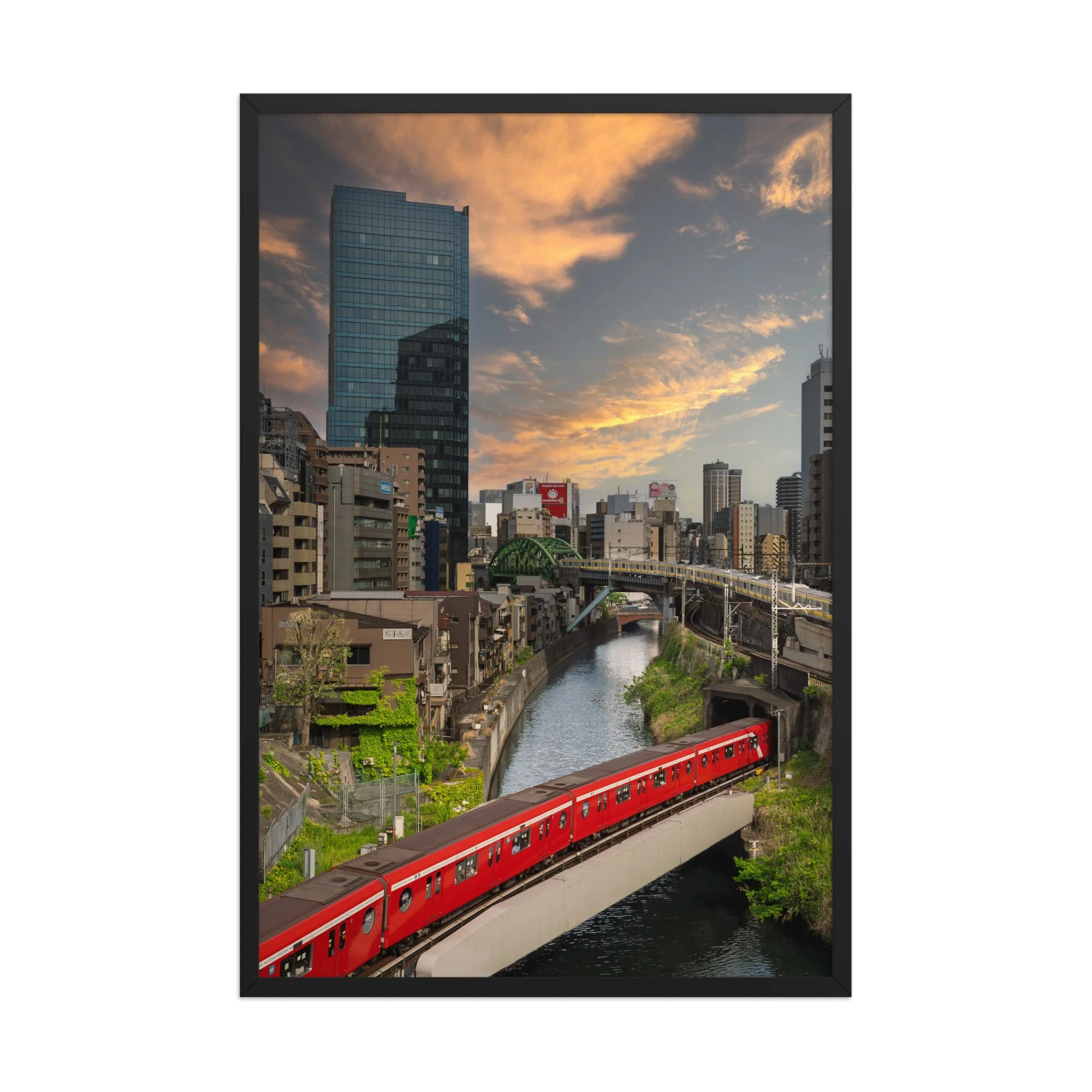 premium-luster-photo-paper-framed-poster-(in)-black-24x36-front-6a15ef53756ea.jpg