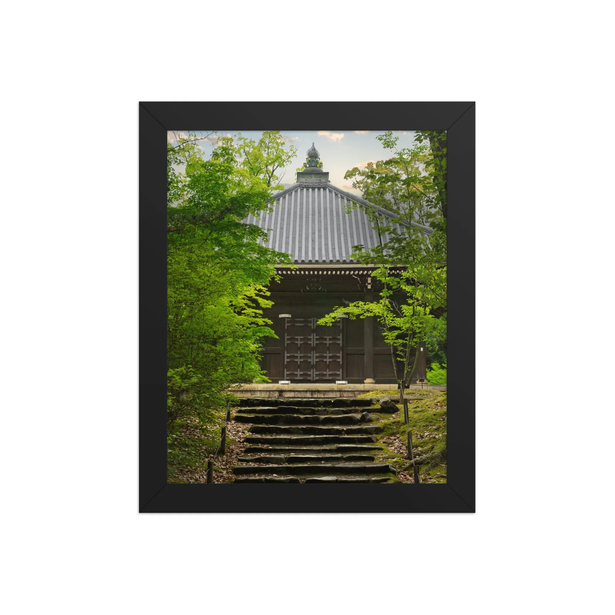 premium-luster-photo-paper-framed-poster-(in)-black-8x10-front-6a15fd7adf86c.jpg