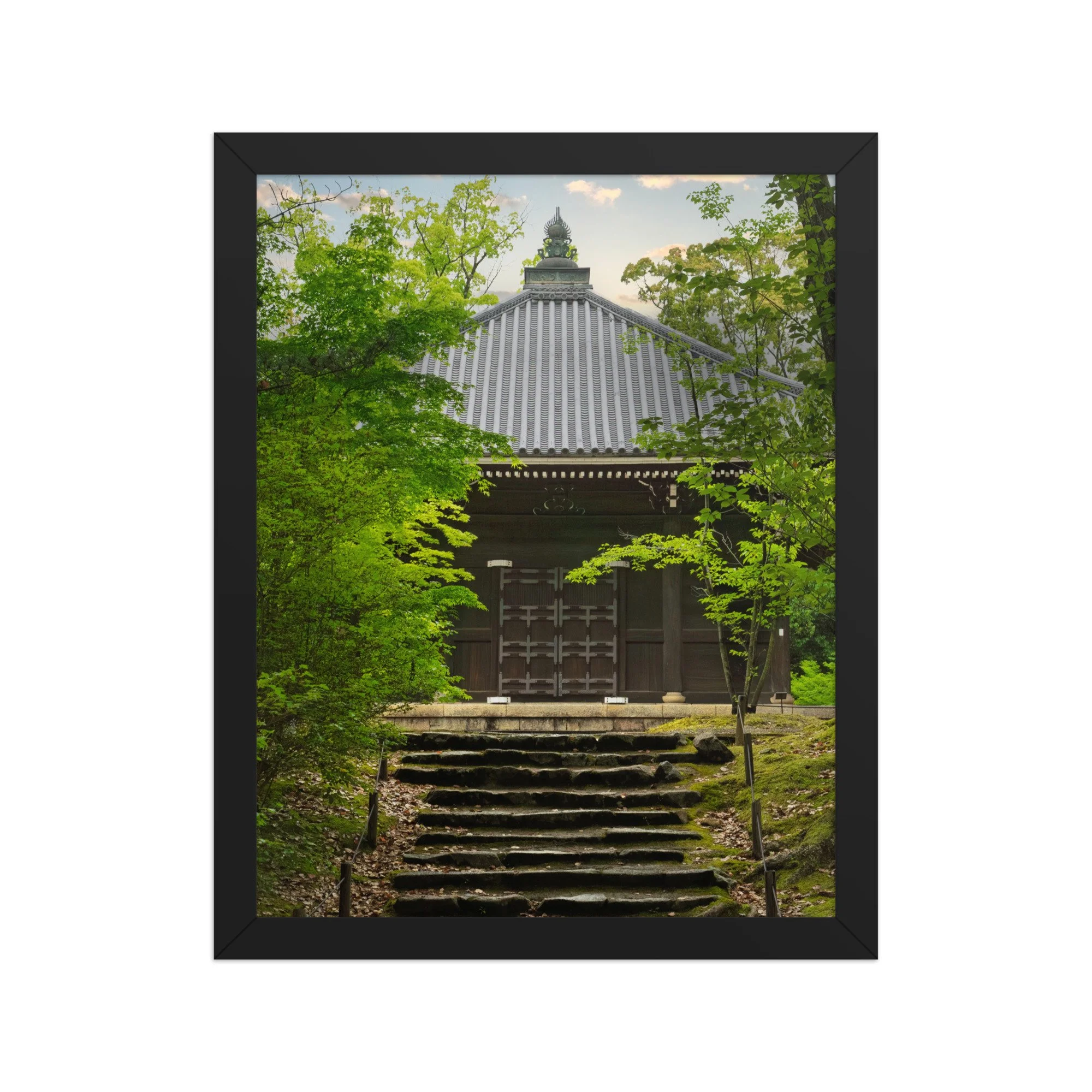 premium-luster-photo-paper-framed-poster-(in)-black-11x14-front-6a15fd7ae4f00.jpg