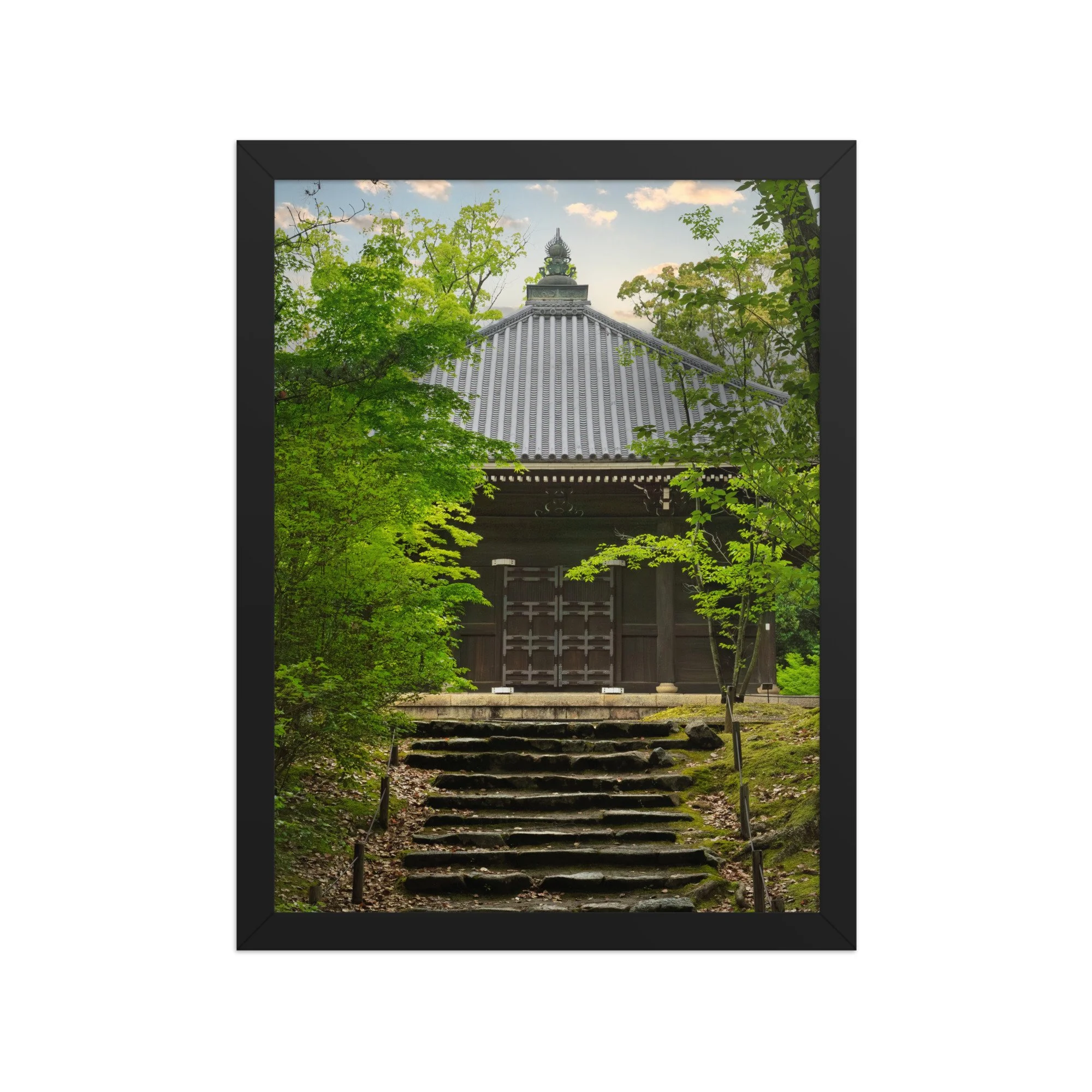 premium-luster-photo-paper-framed-poster-(in)-black-12x16-front-6a15fd7ae1ad7.jpg