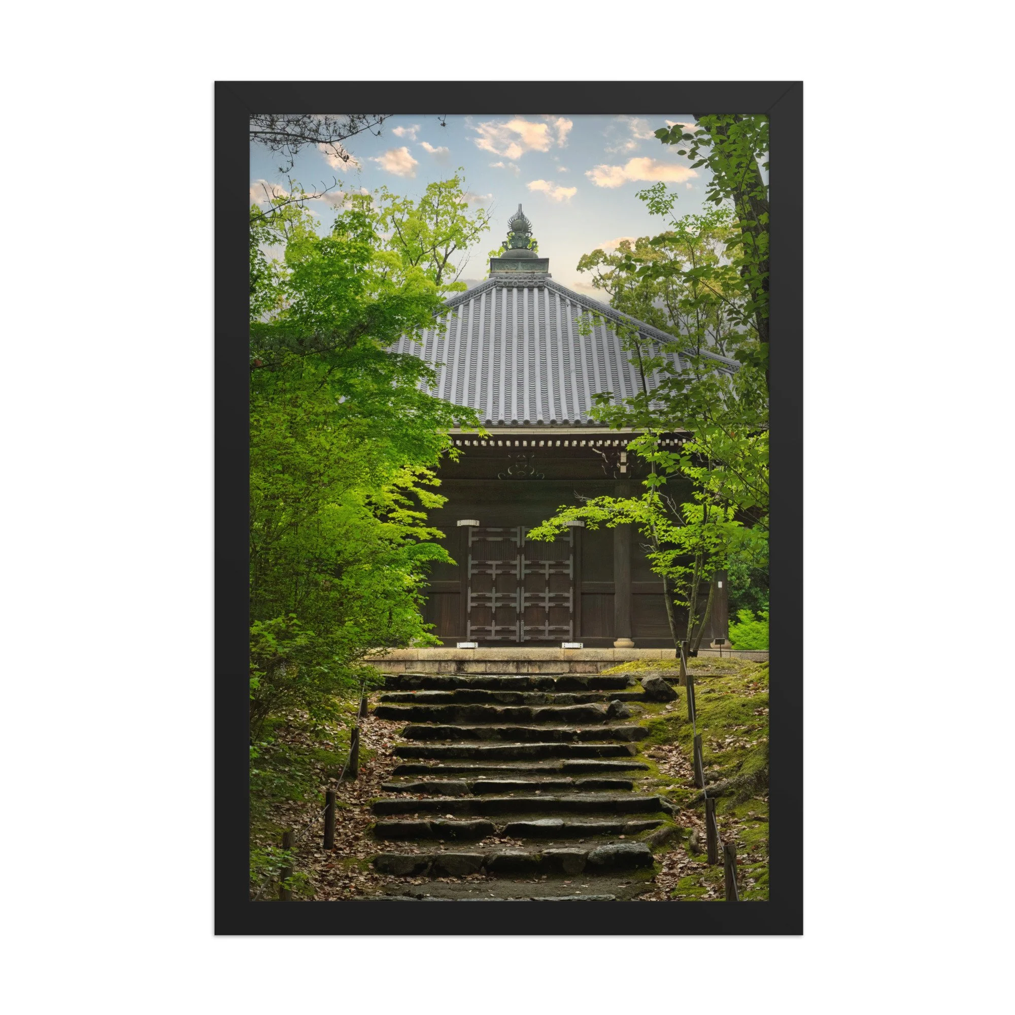 premium-luster-photo-paper-framed-poster-(in)-black-12x18-front-6a15fd7ae271a.jpg