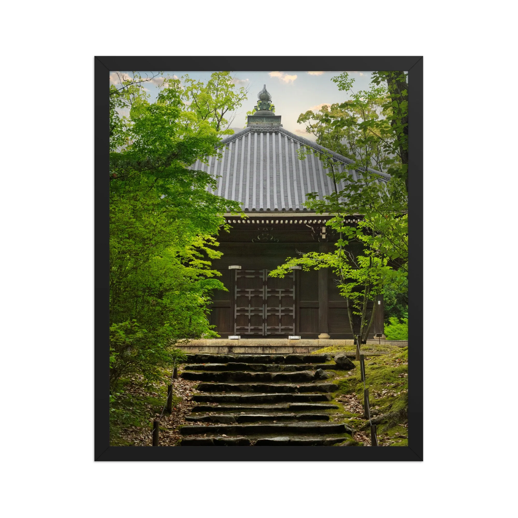 premium-luster-photo-paper-framed-poster-(in)-black-16x20-front-6a15fd7ae3379.jpg