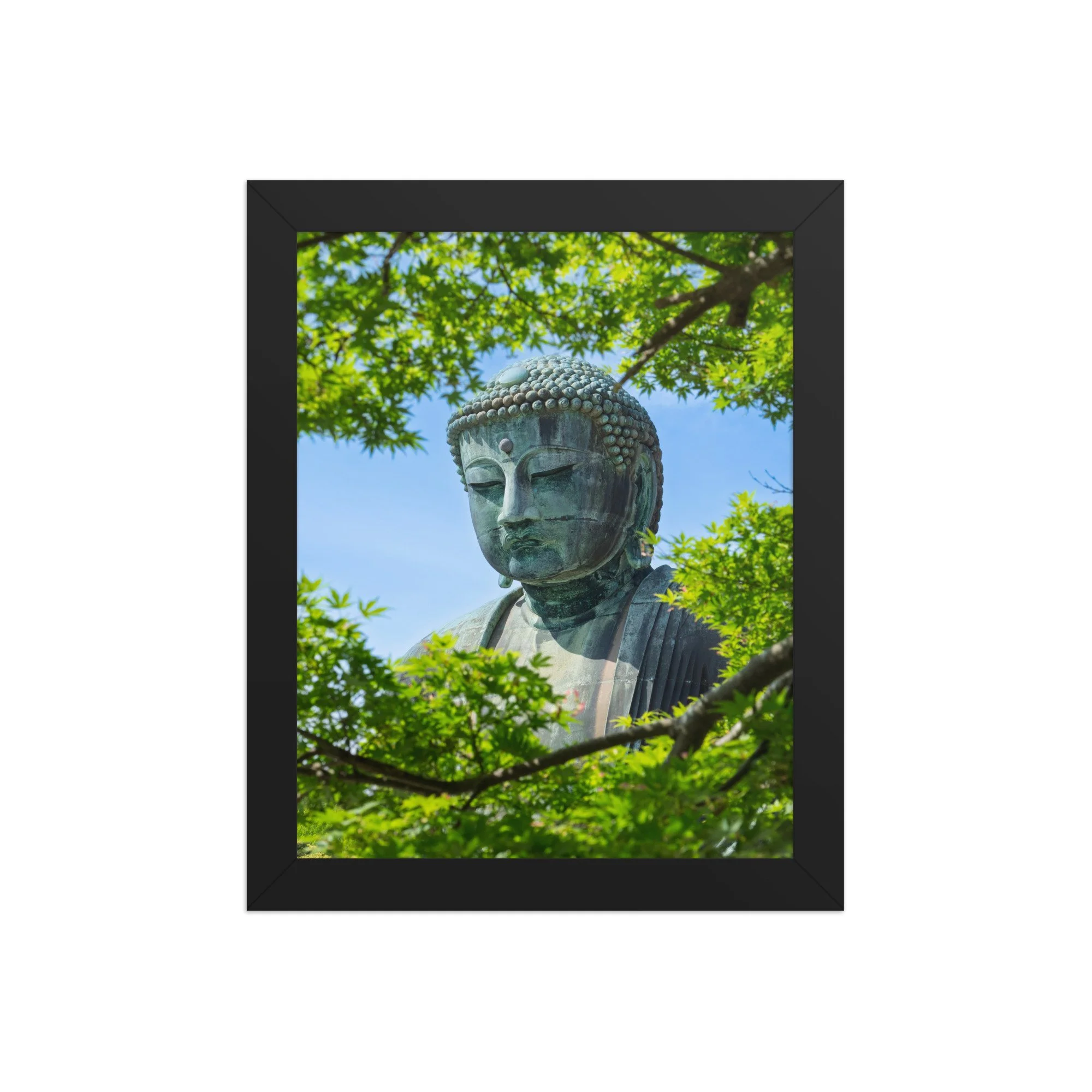 premium-luster-photo-paper-framed-poster-(in)-black-8x10-front-6a15fe7c2c422.jpg