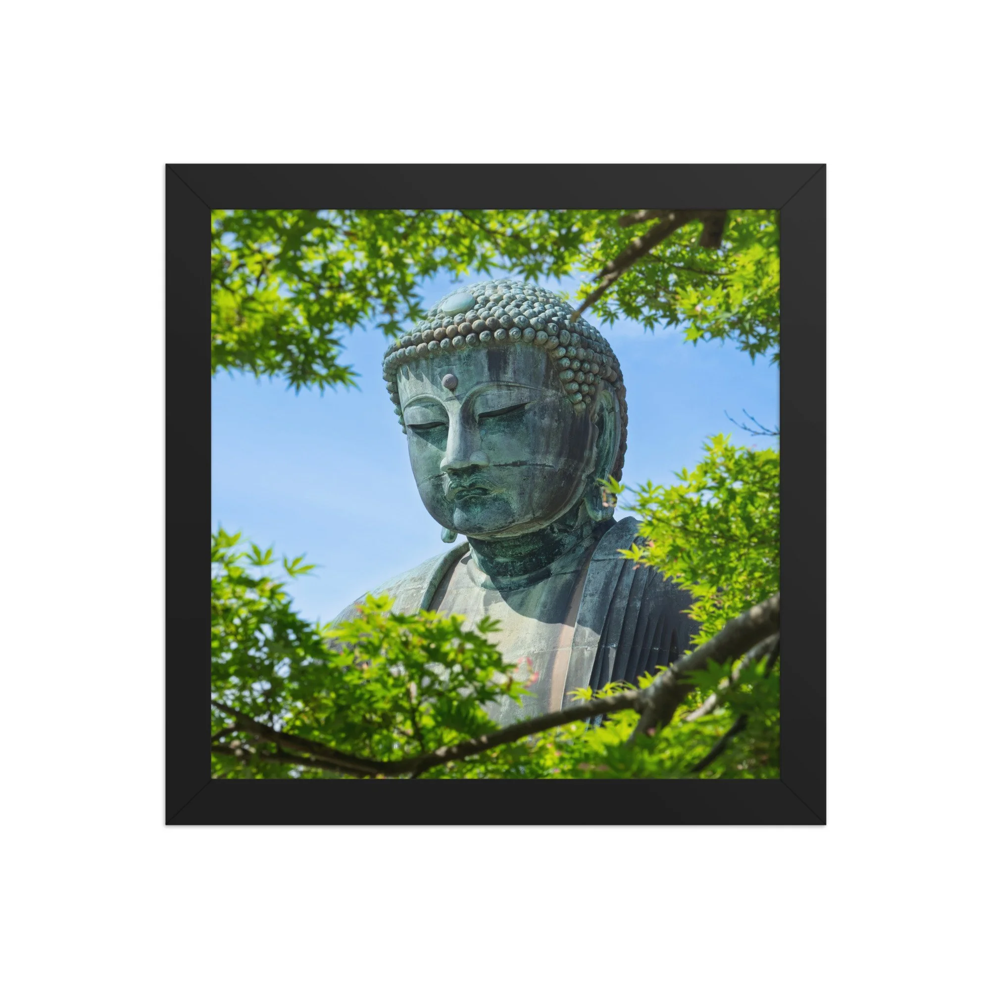 premium-luster-photo-paper-framed-poster-(in)-black-10x10-front-6a15fe7c29d41.jpg