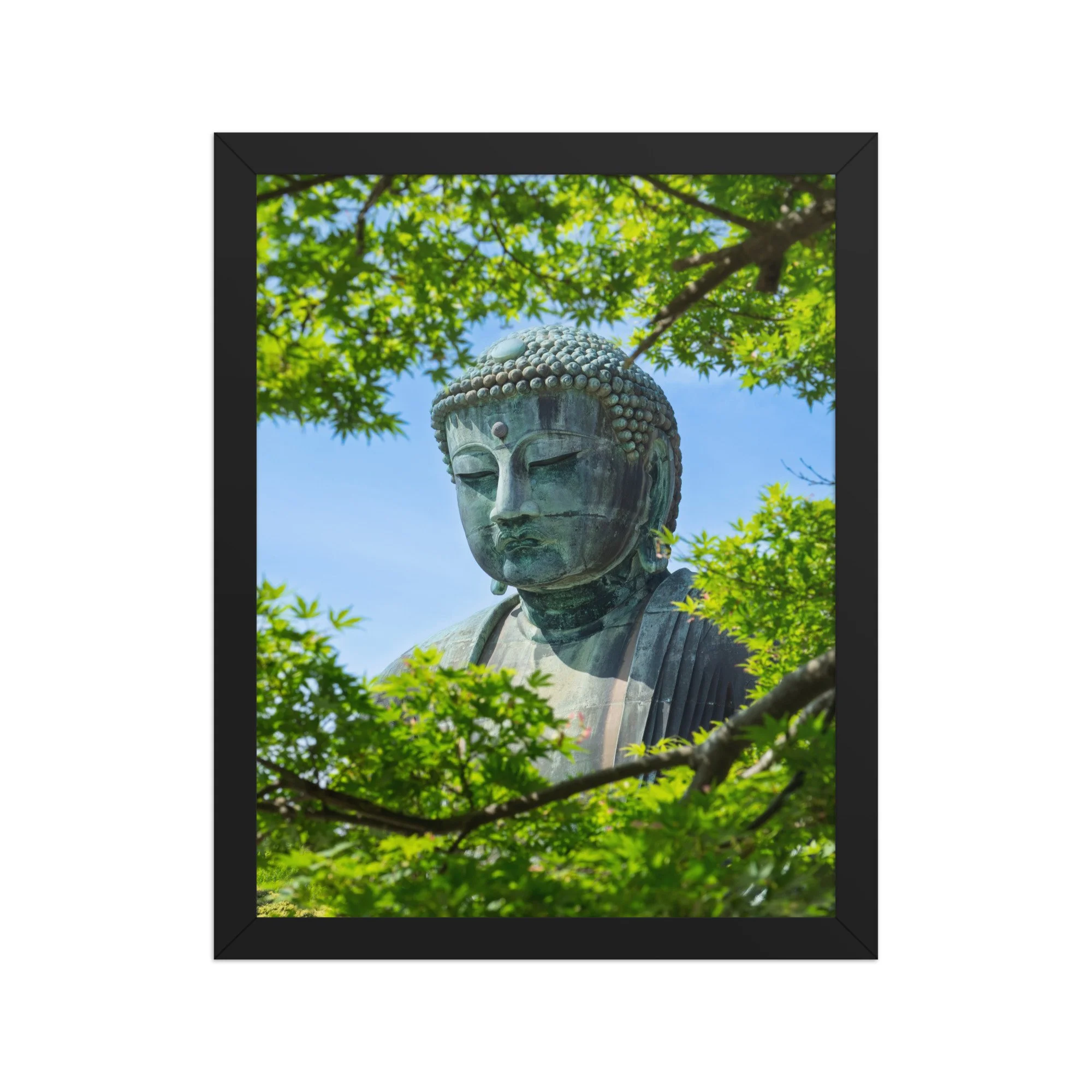 premium-luster-photo-paper-framed-poster-(in)-black-11x14-front-6a15fe7c2e402.jpg