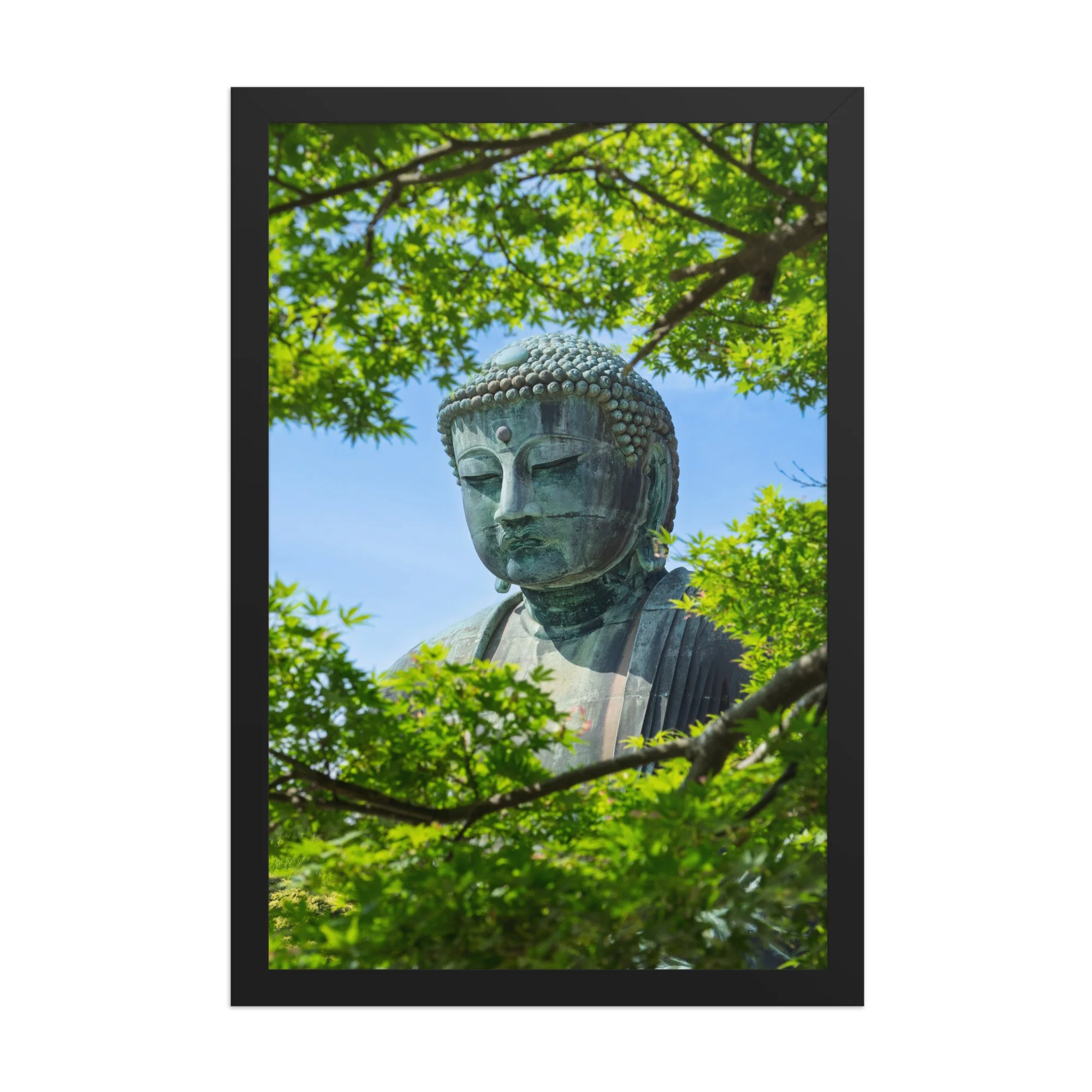 premium-luster-photo-paper-framed-poster-(in)-black-12x18-front-6a15fe7c2d20d.jpg