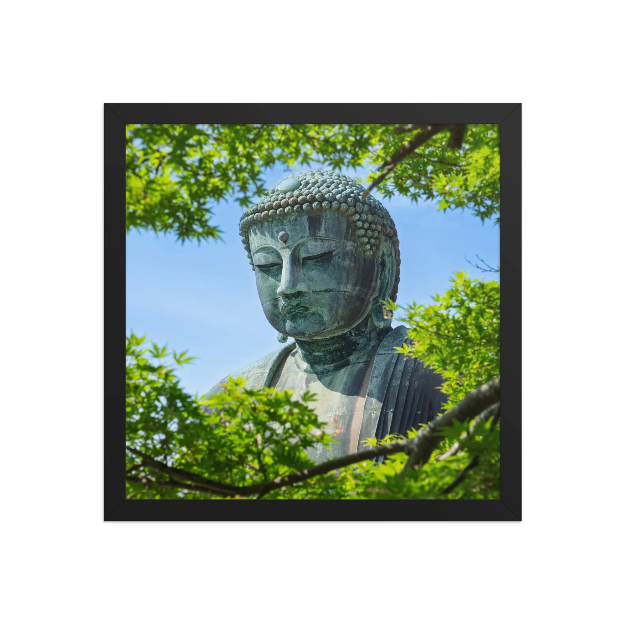 premium-luster-photo-paper-framed-poster-(in)-black-14x14-front-6a15fe7c2b0cc.jpg