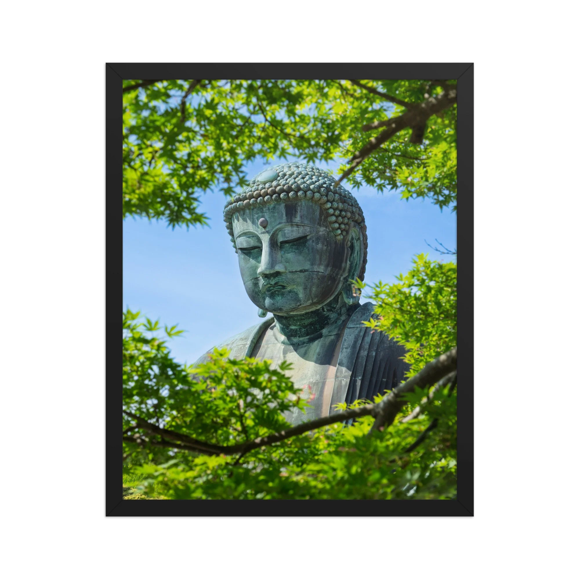 premium-luster-photo-paper-framed-poster-(in)-black-16x20-front-6a15fe7c2d916.jpg
