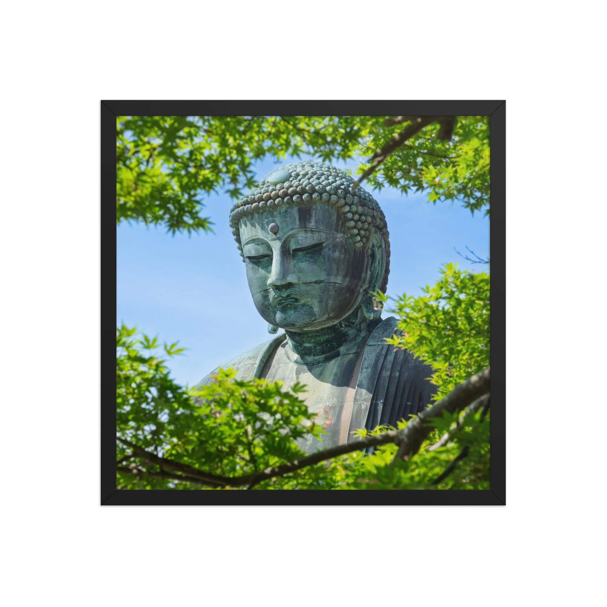 premium-luster-photo-paper-framed-poster-(in)-black-18x18-front-6a15fe7c2bdb1.jpg