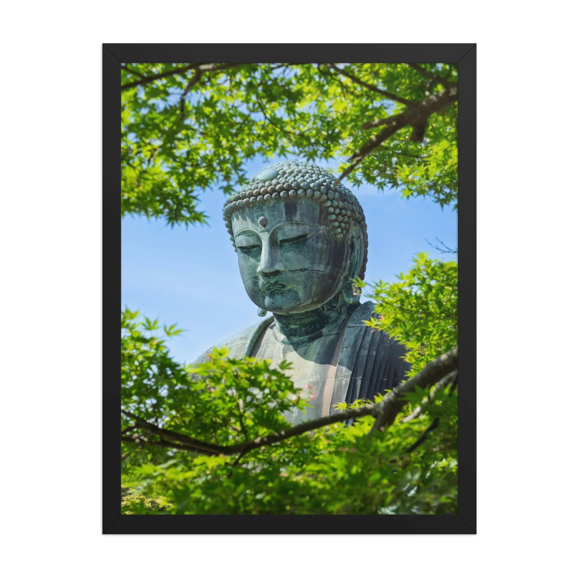 premium-luster-photo-paper-framed-poster-(in)-black-18x24-front-6a15fe7c2de83.jpg