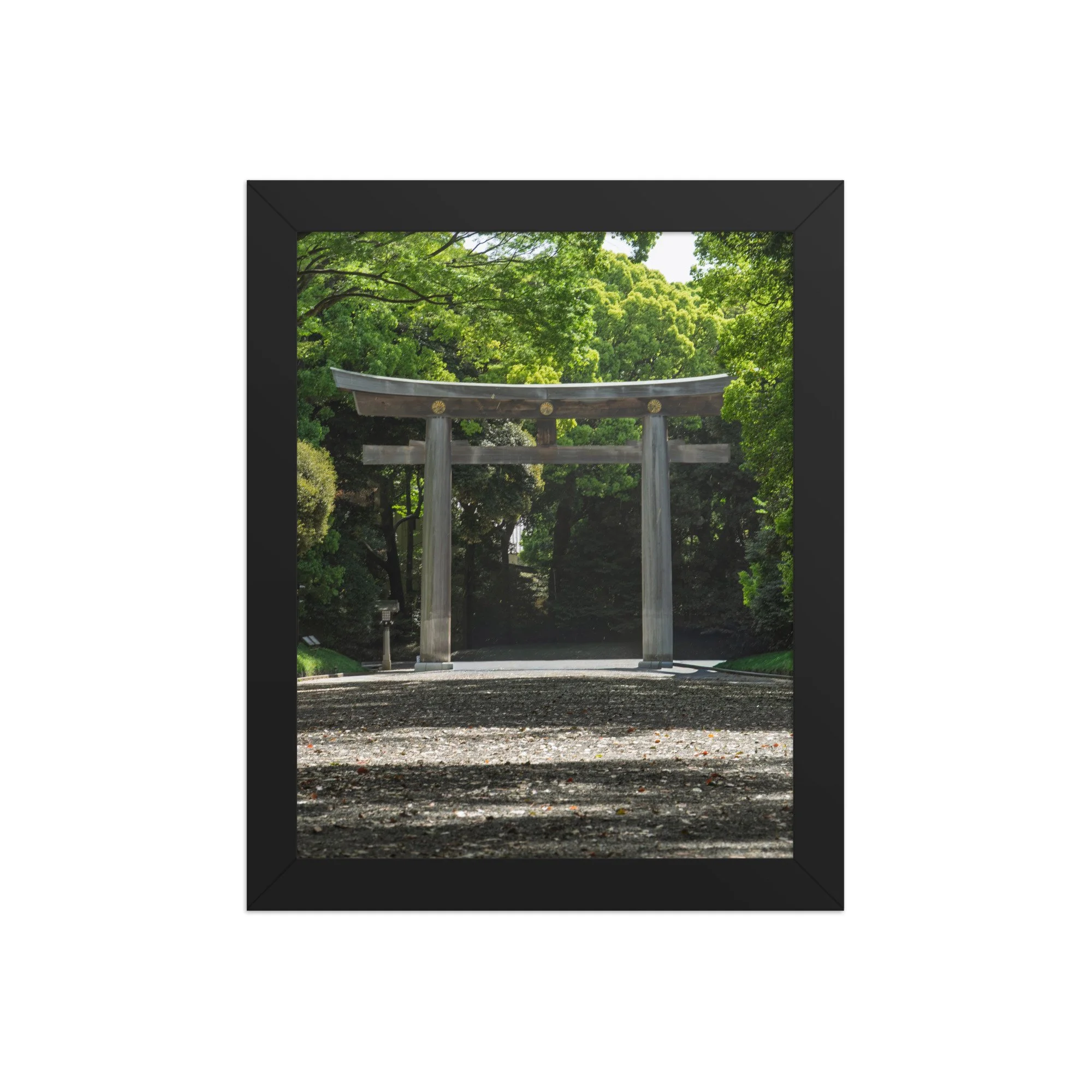 premium-luster-photo-paper-framed-poster-(in)-black-8x10-front-6a15ff99c5795.jpg