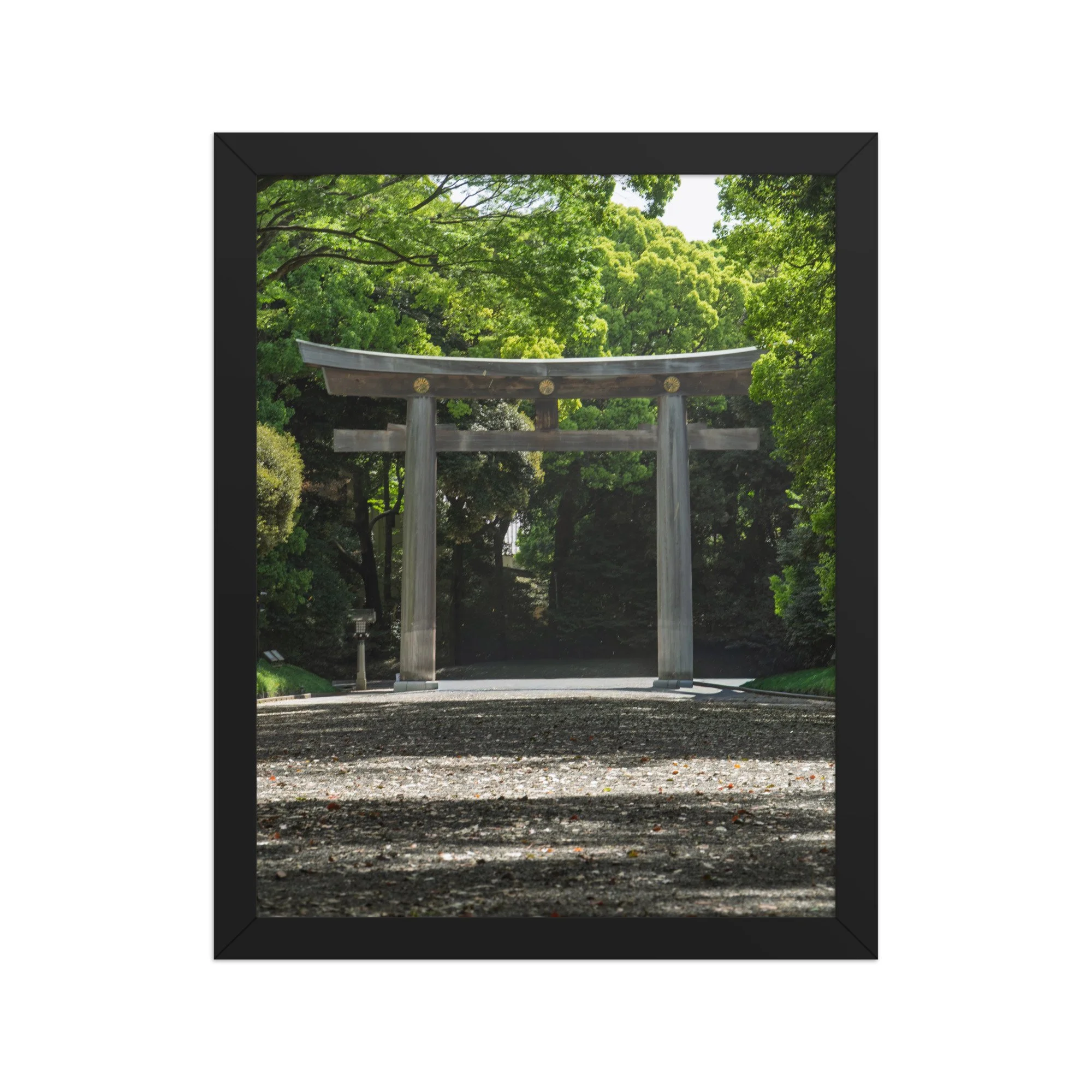 premium-luster-photo-paper-framed-poster-(in)-black-11x14-front-6a15ff99ca99f.jpg