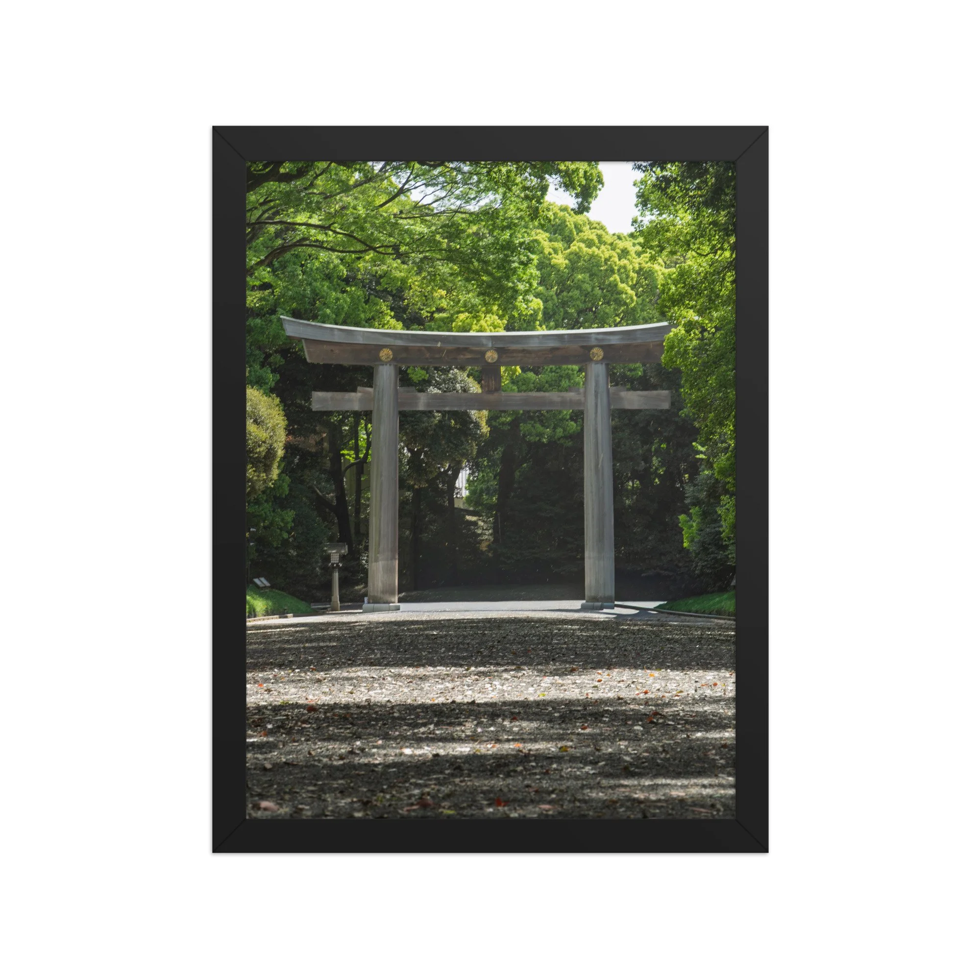 premium-luster-photo-paper-framed-poster-(in)-black-12x16-front-6a15ff99c76bd.jpg