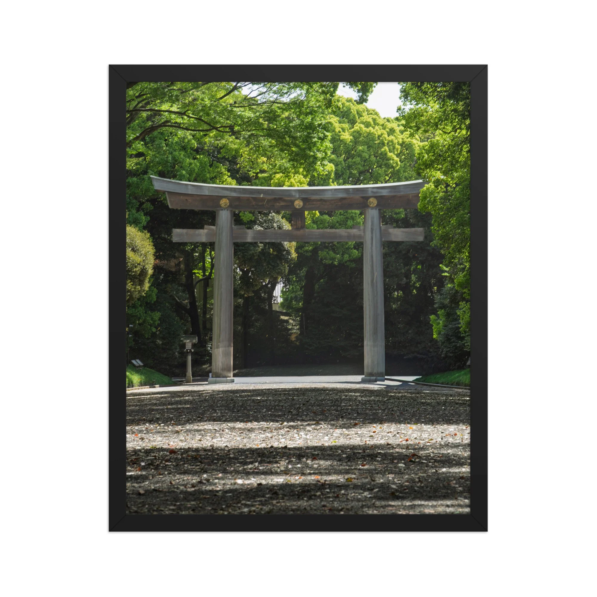 premium-luster-photo-paper-framed-poster-(in)-black-16x20-front-6a15ff99c909e.jpg