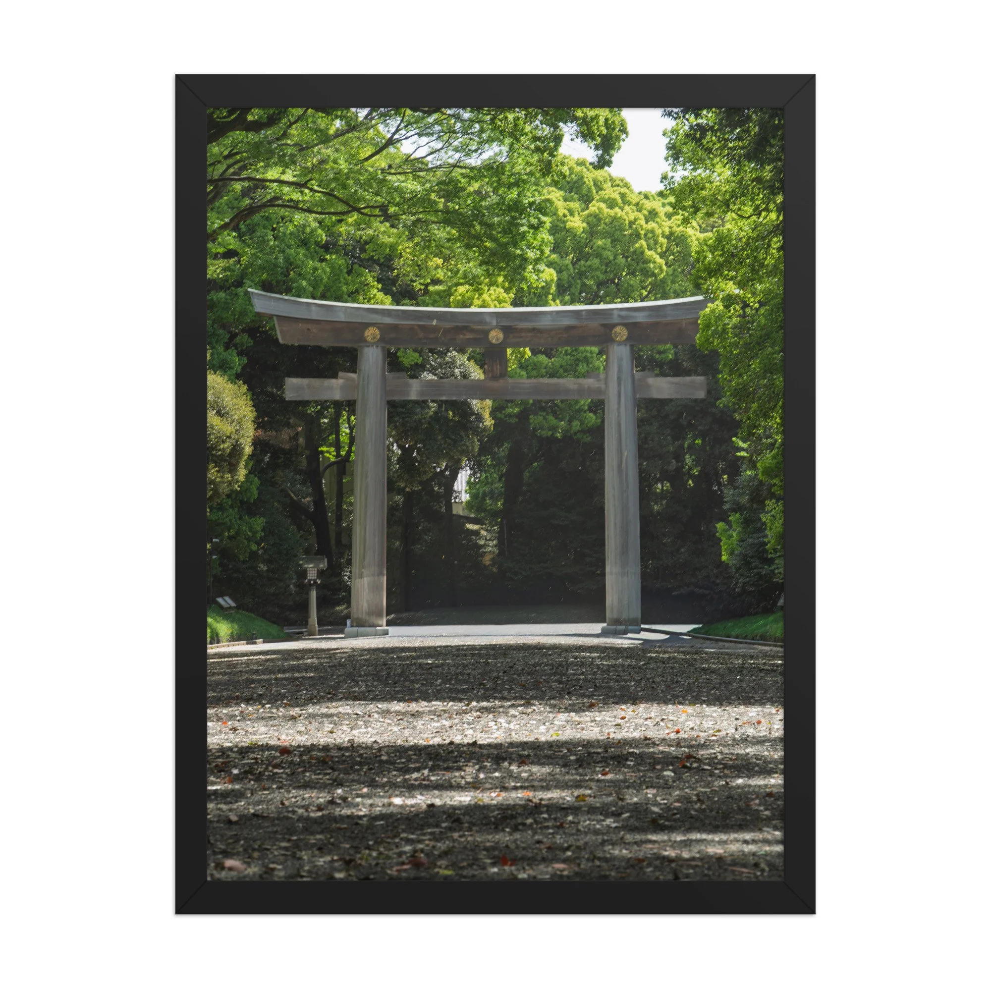 premium-luster-photo-paper-framed-poster-(in)-black-18x24-front-6a15ff99c9d0b.jpg