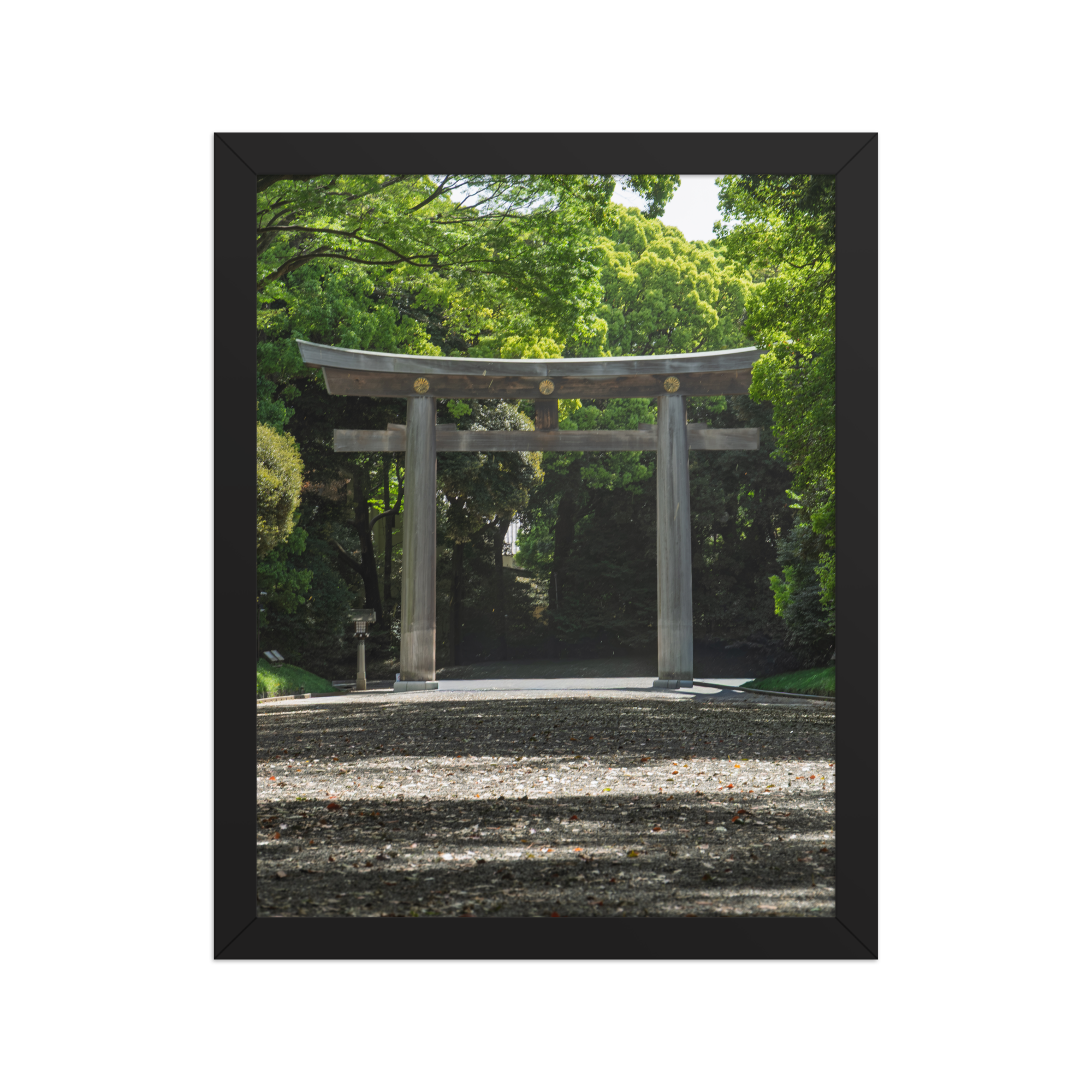 premium-luster-photo-paper-framed-poster-(in)-black-11x14-front-6a1d2035bfe55.png