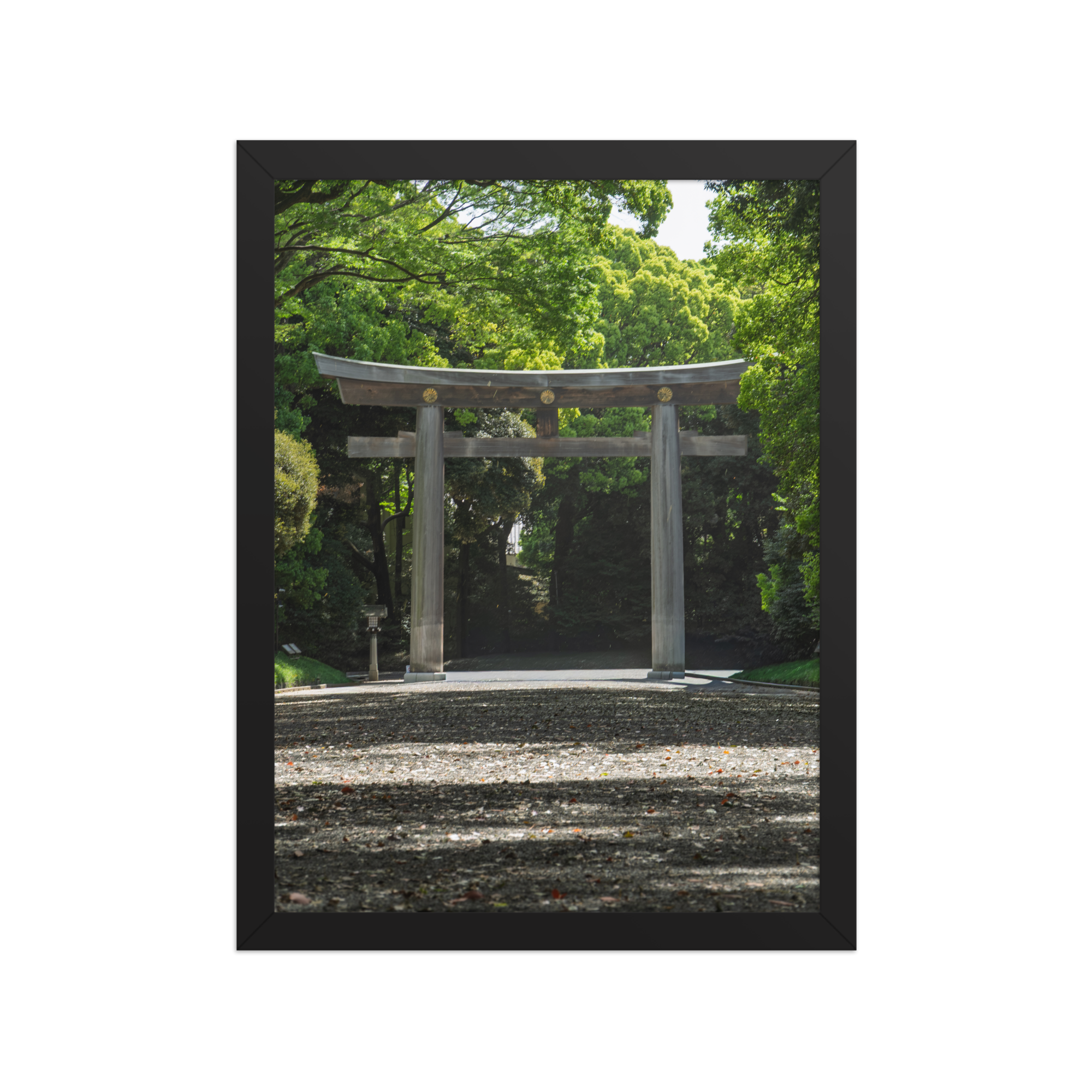 premium-luster-photo-paper-framed-poster-(in)-black-12x16-front-6a1d2035c0515.png