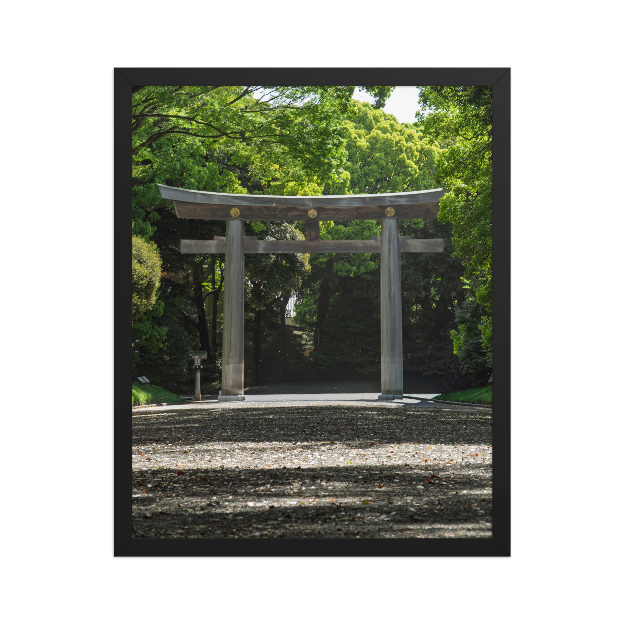 premium-luster-photo-paper-framed-poster-(in)-black-16x20-front-6a1d2035c063e.png
