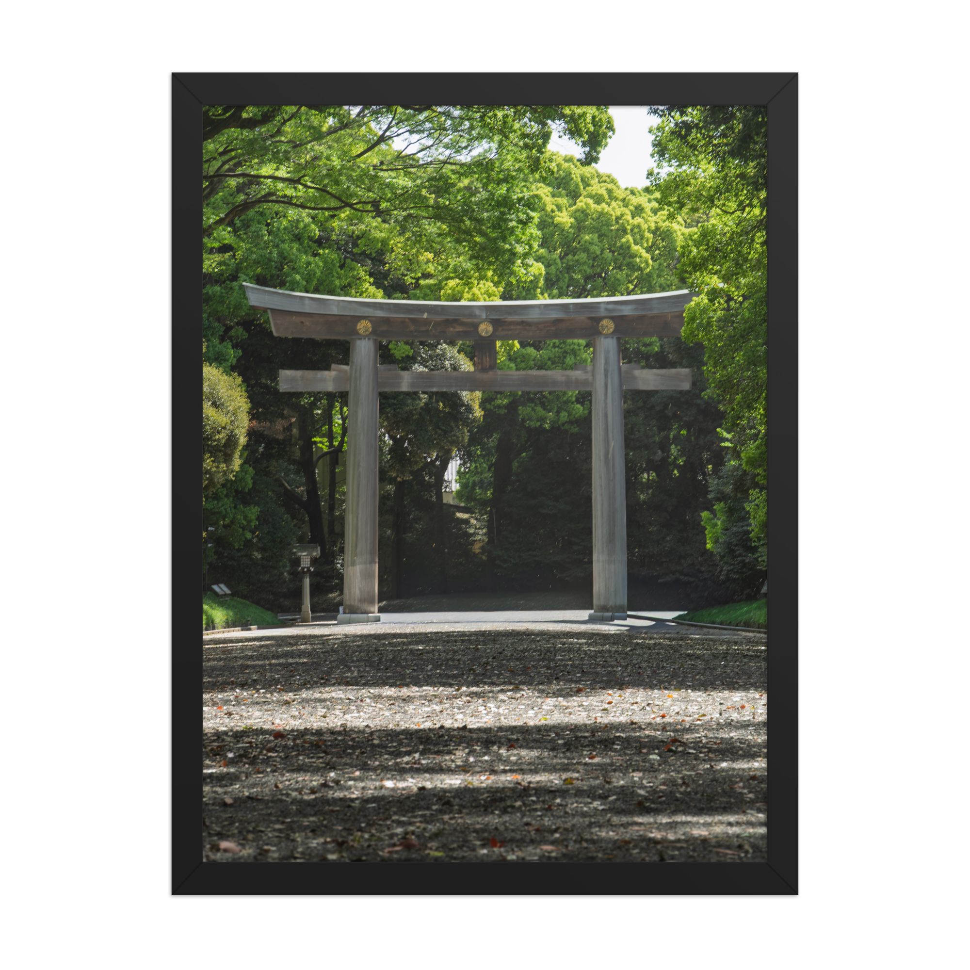 premium-luster-photo-paper-framed-poster-(in)-black-18x24-front-6a1d2035c06cd.png