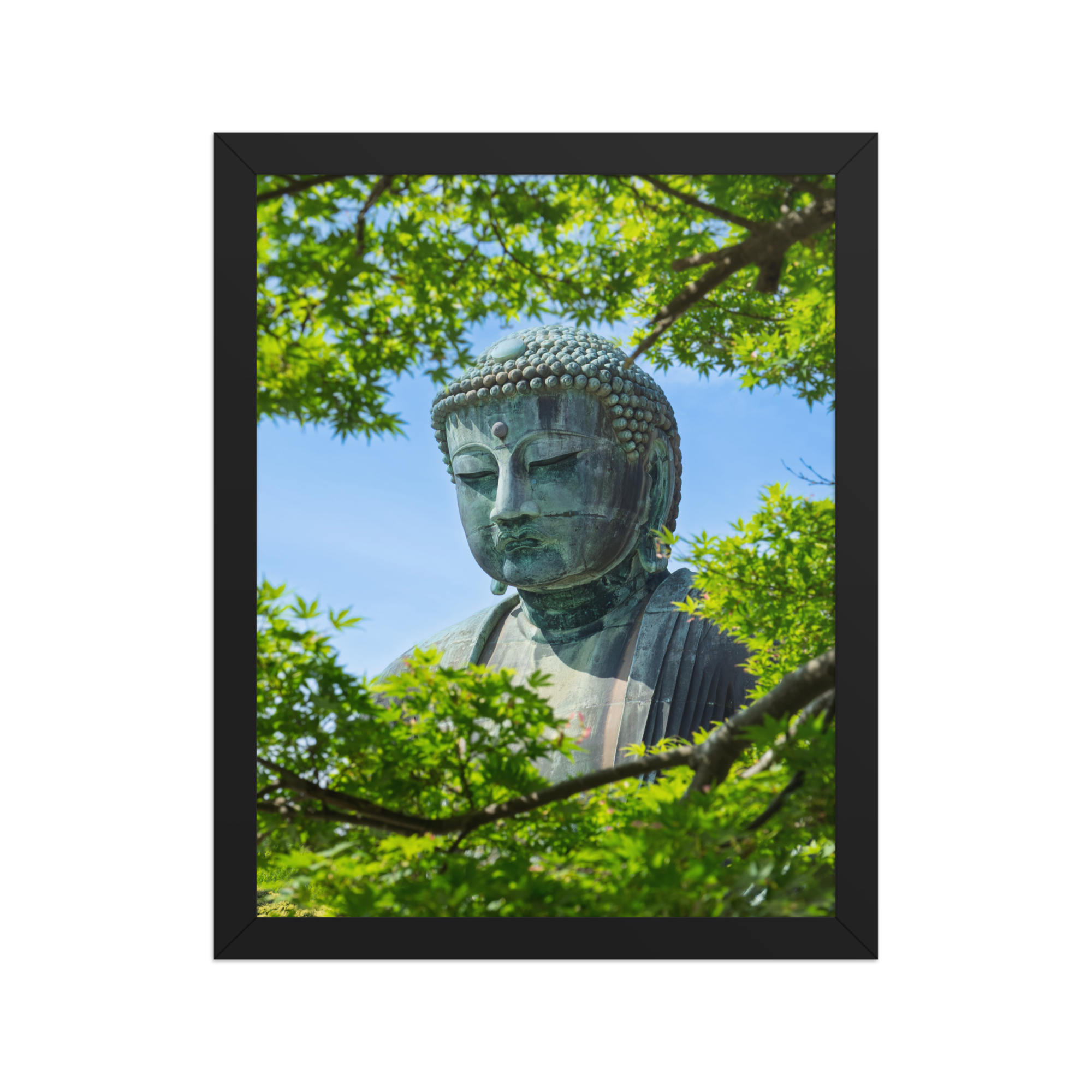 premium-luster-photo-paper-framed-poster-(in)-black-11x14-front-6a1d2093b5ead.png