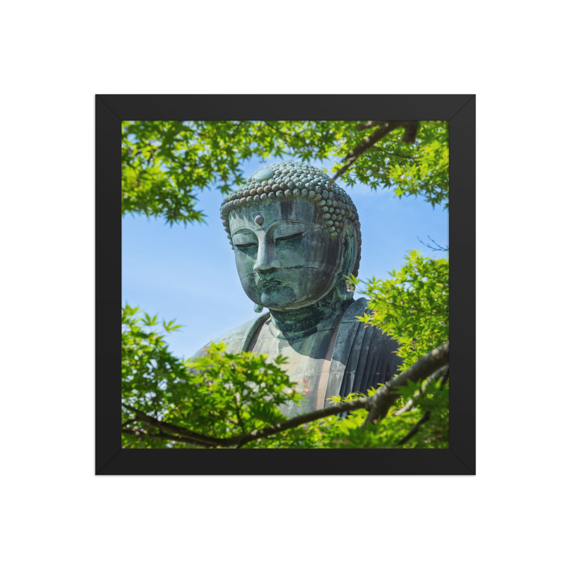premium-luster-photo-paper-framed-poster-(in)-black-10x10-front-6a1d2093b7c36.png