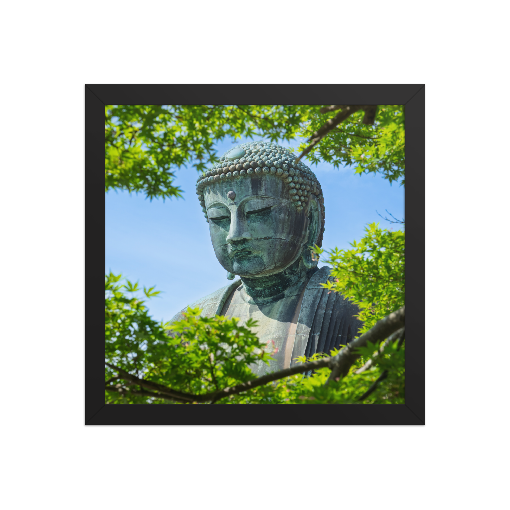 premium-luster-photo-paper-framed-poster-(in)-black-12x12-front-6a1d2093b7d02.png